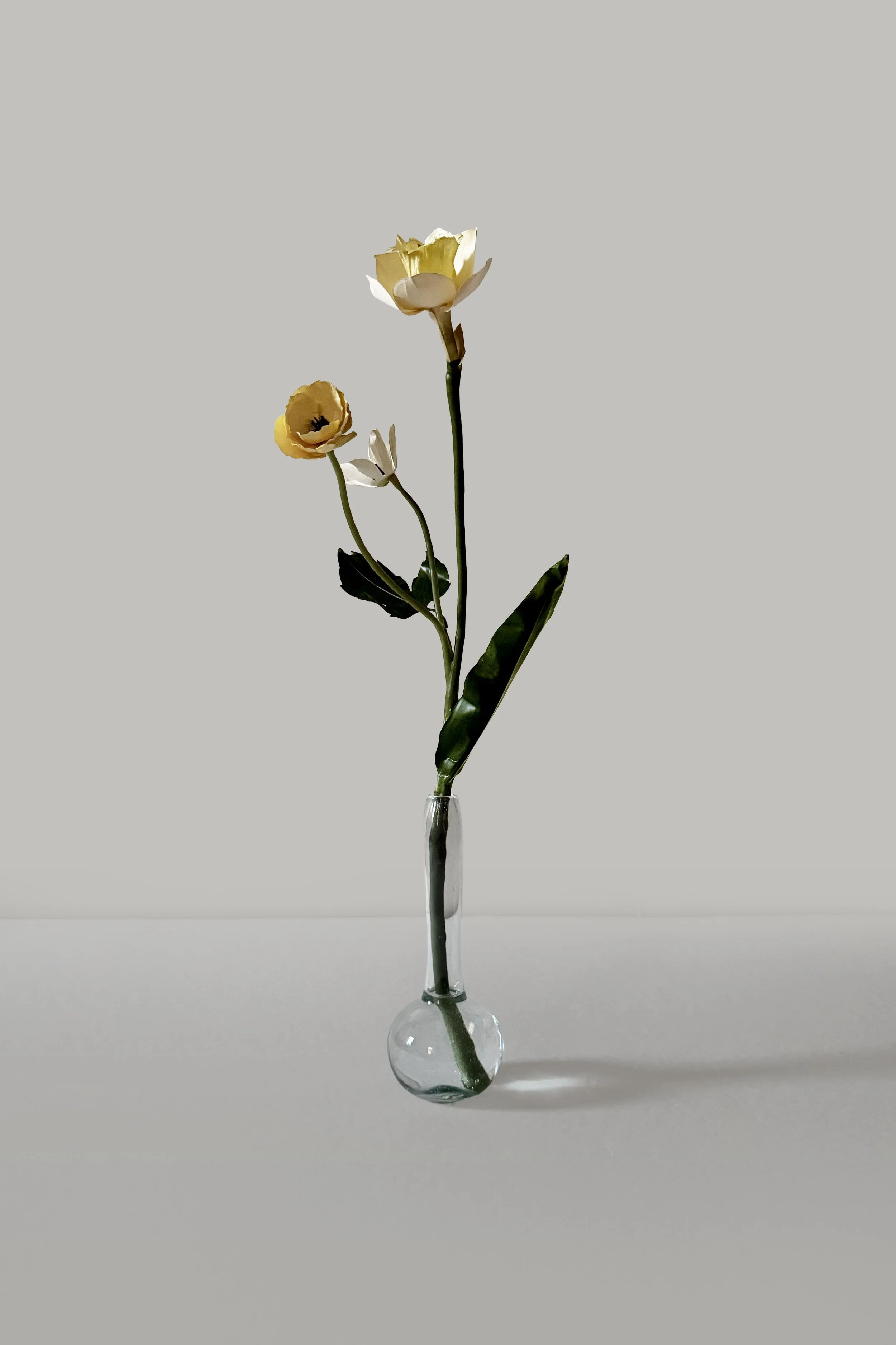 Wax Paper Flower  —  'Narcissus Jeune'
