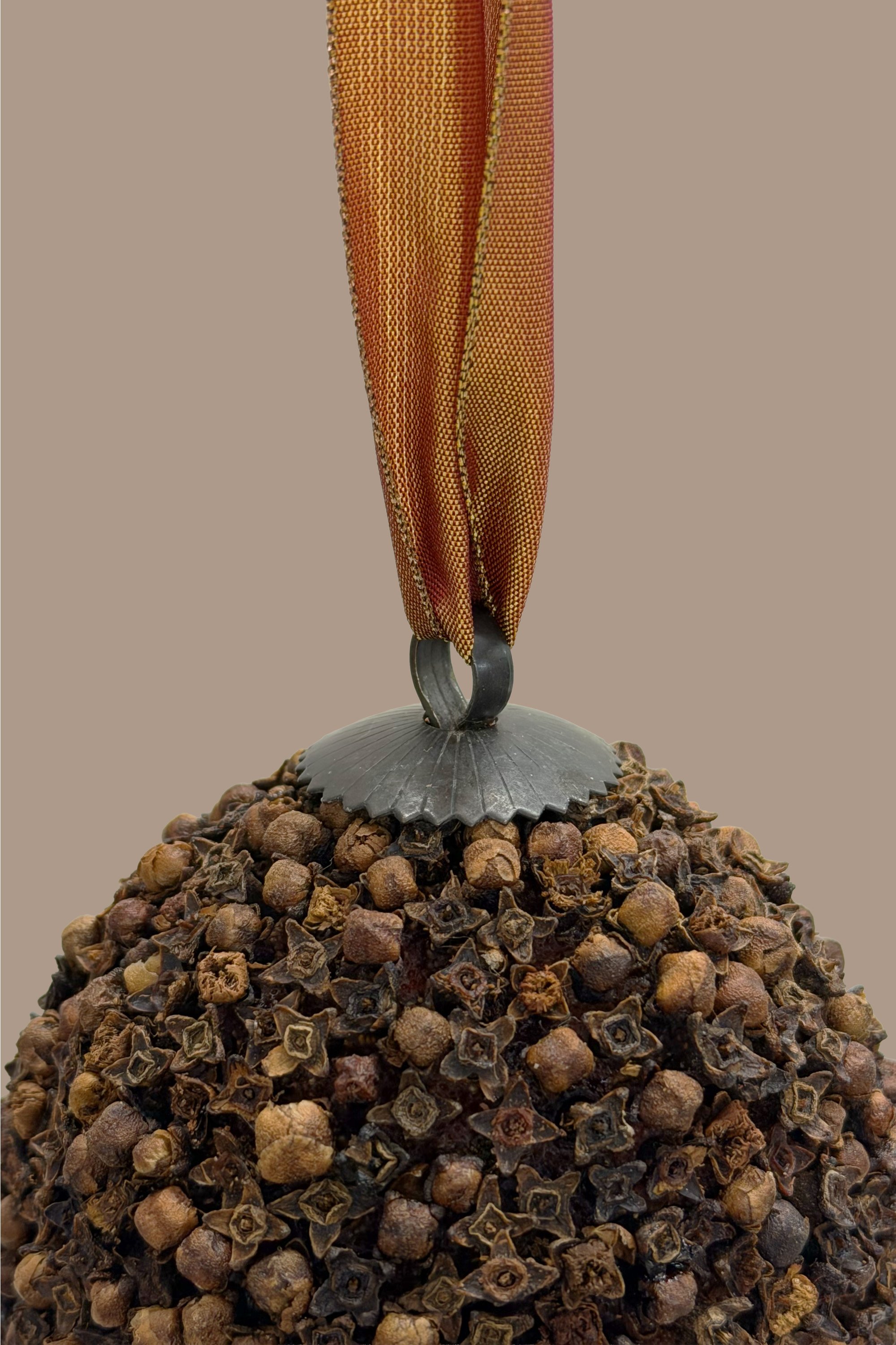 Closeup.jpg