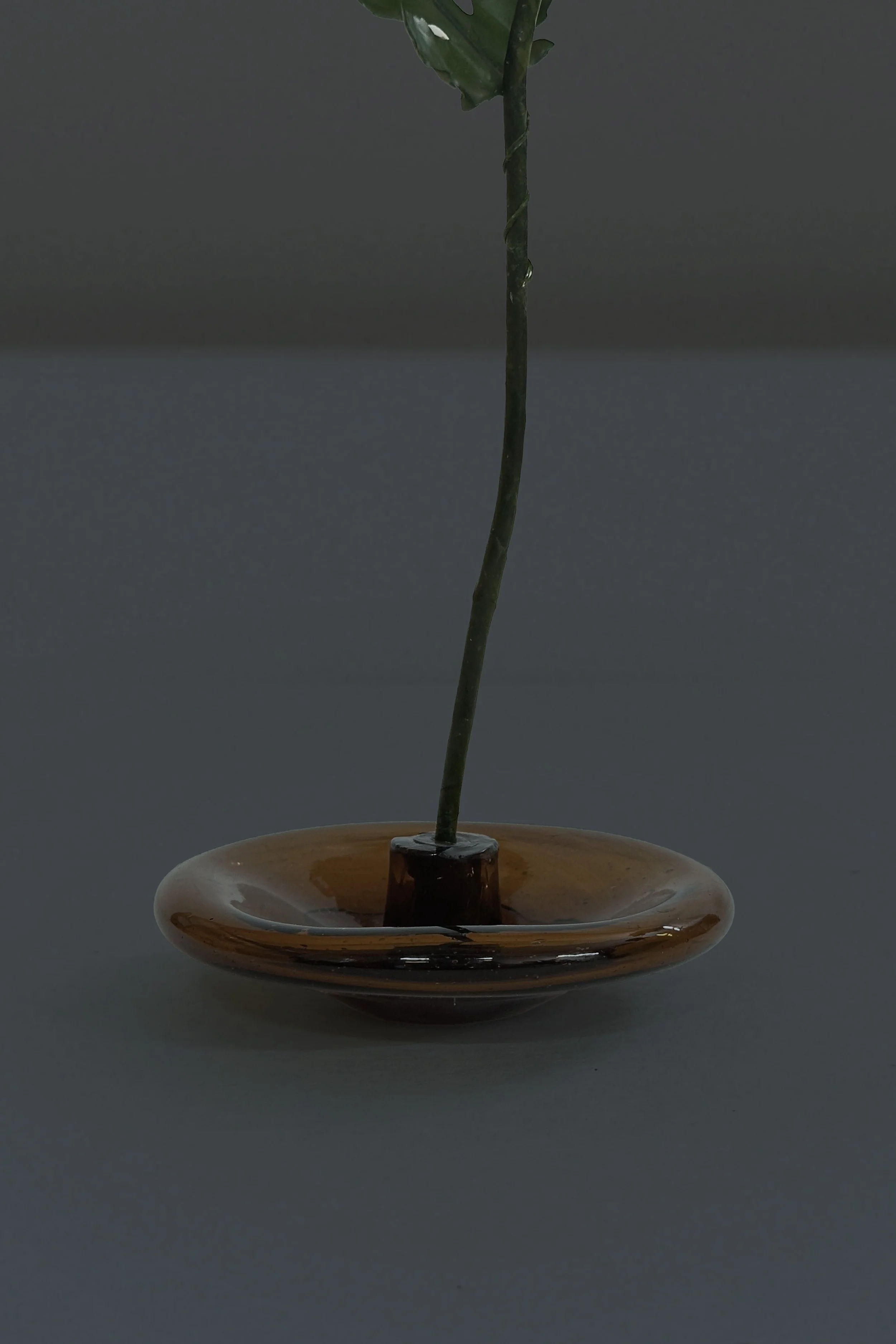 Artboard 1.jpg