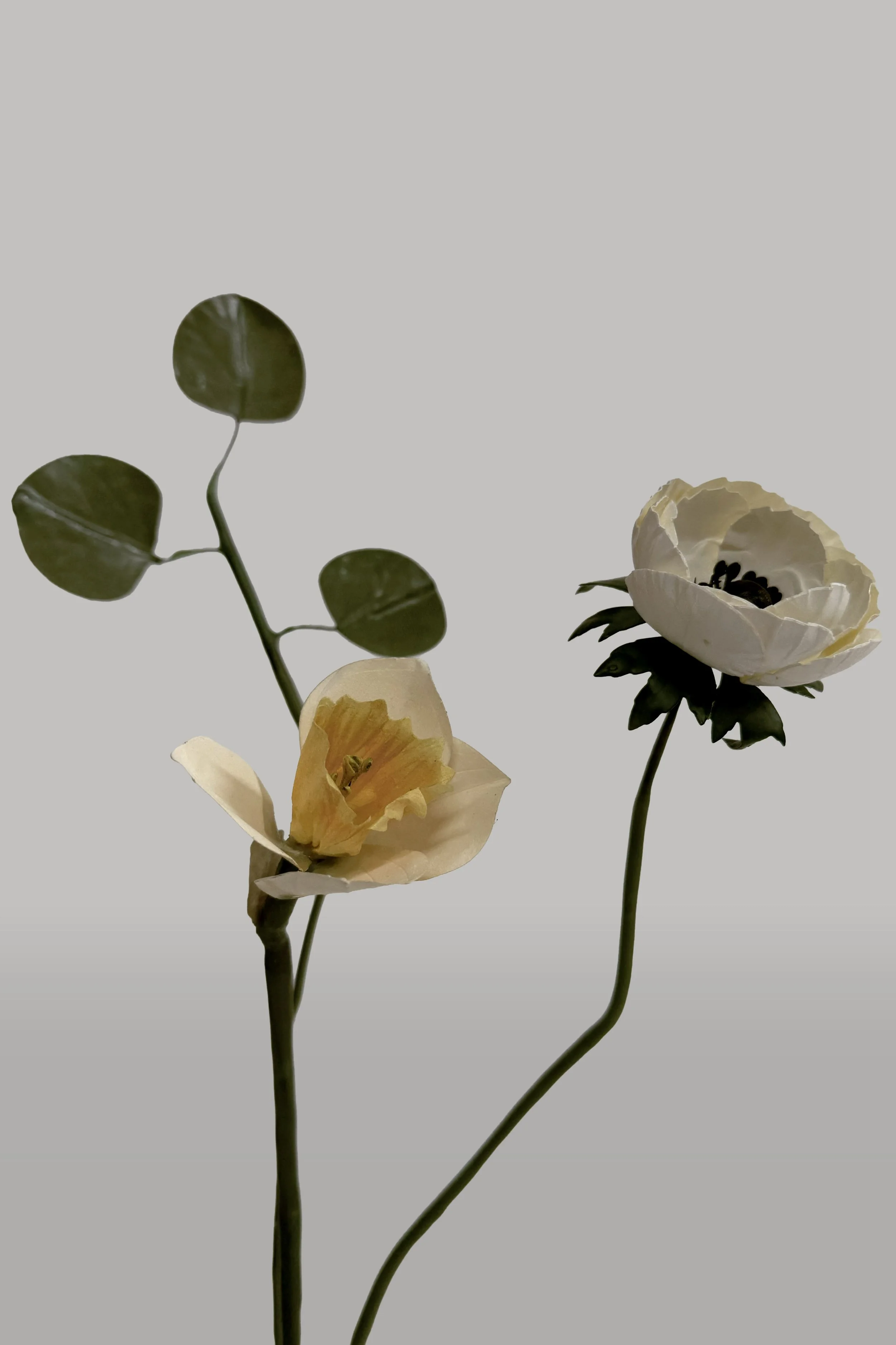 Wax Paper Flower —  'Ranunculus Jonquil'