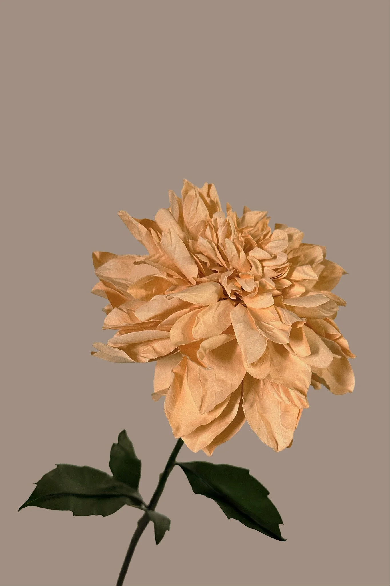 China-2-Closeup.jpg