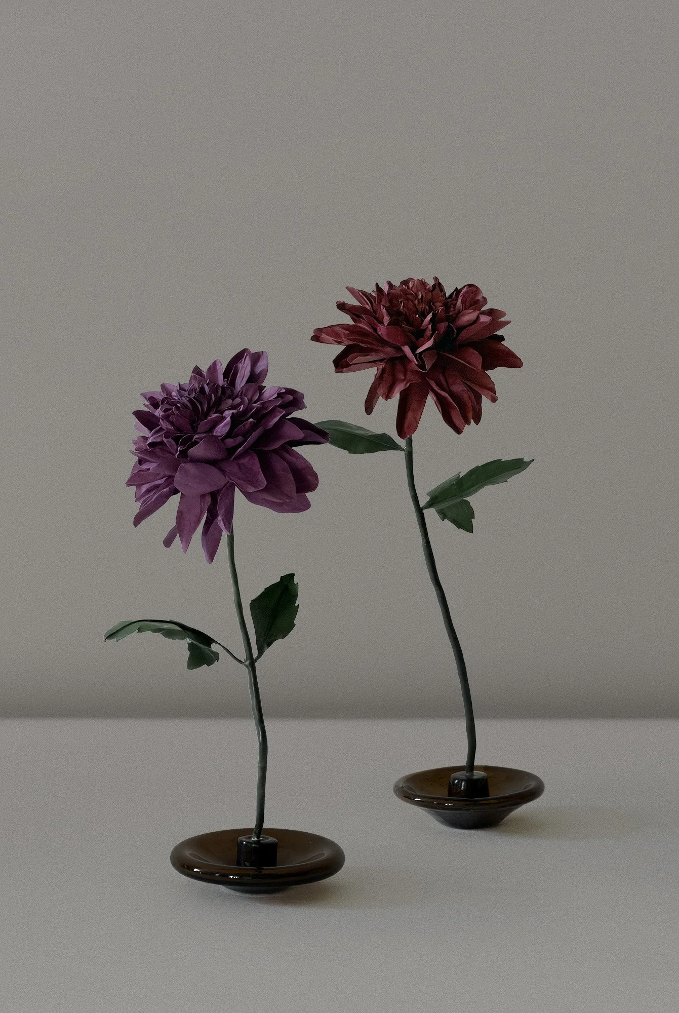 Aromatic Flower — Chrysanthemum 'Magenta' & 'Nightfall'