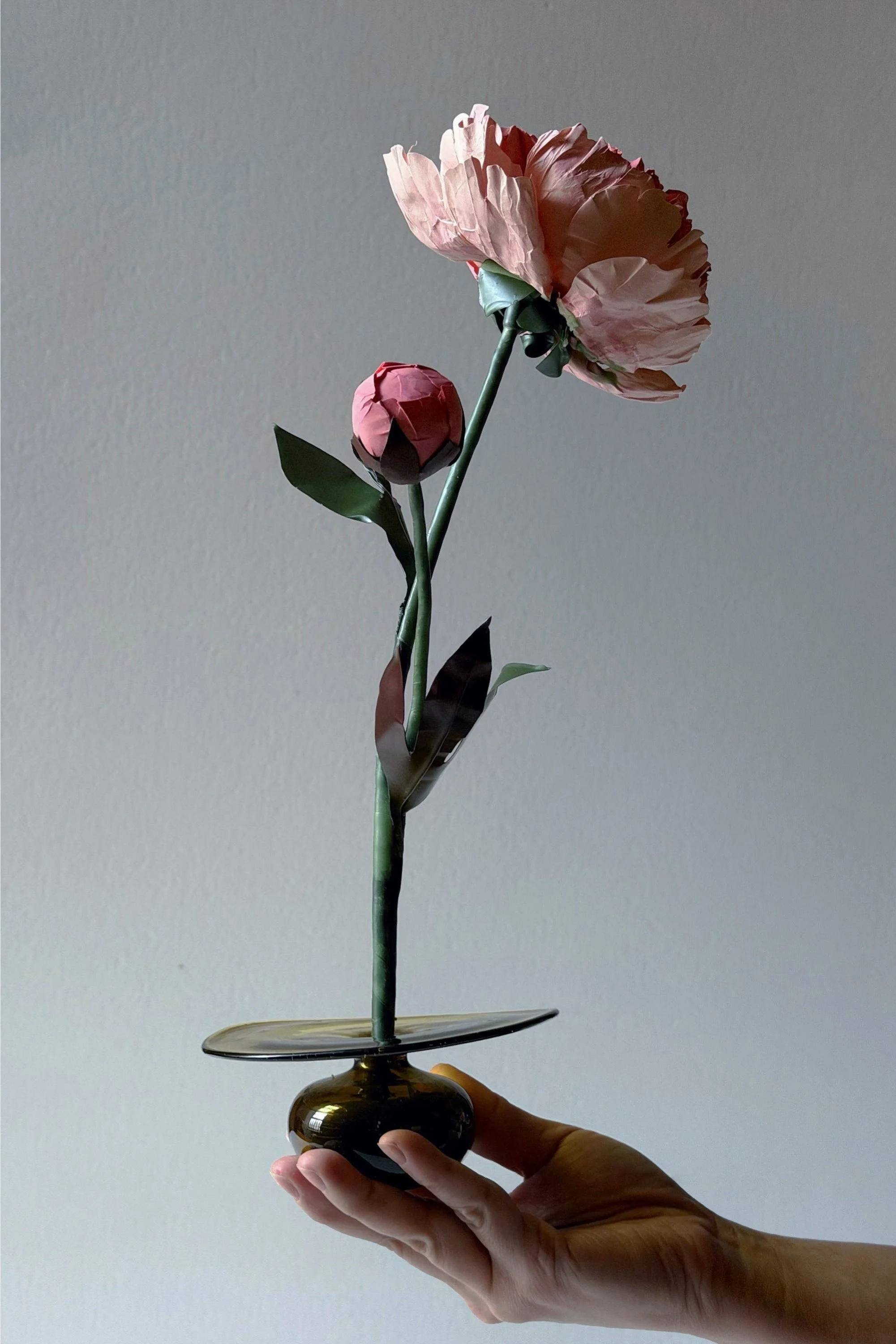 Aromatic Flower — Chinese Peony ‘Grandiflora’