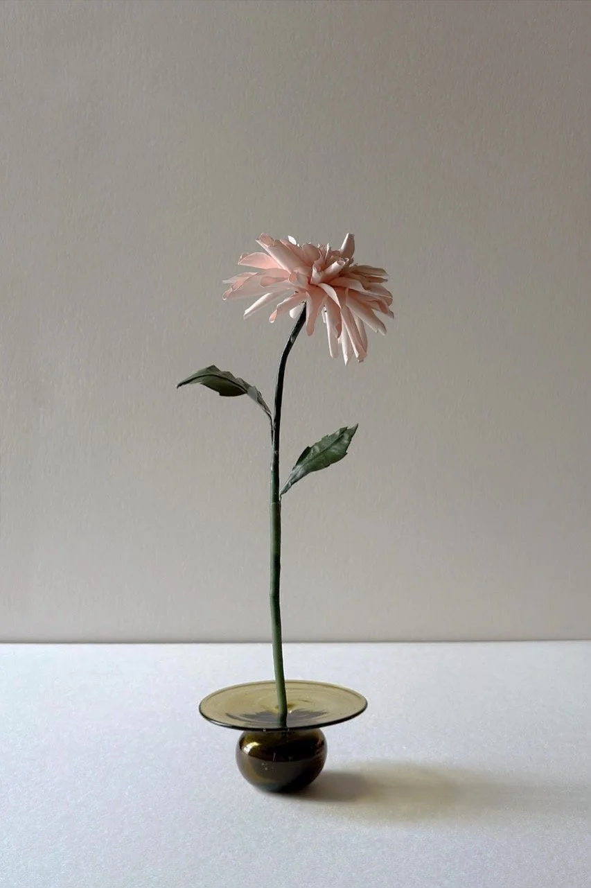 Aromatic Flower — Chrysanthemum ‘Pink Blossom’