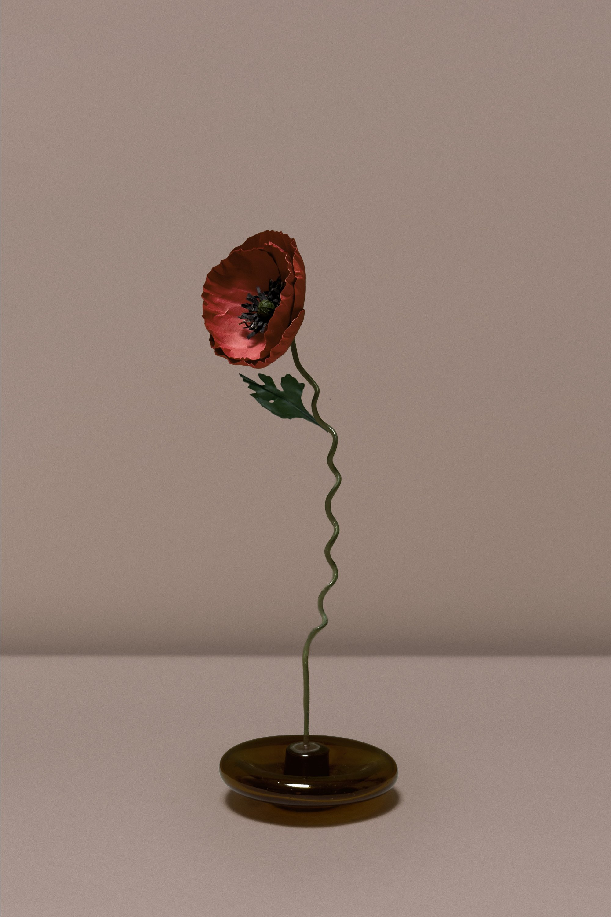 WildPoppy-2.jpg