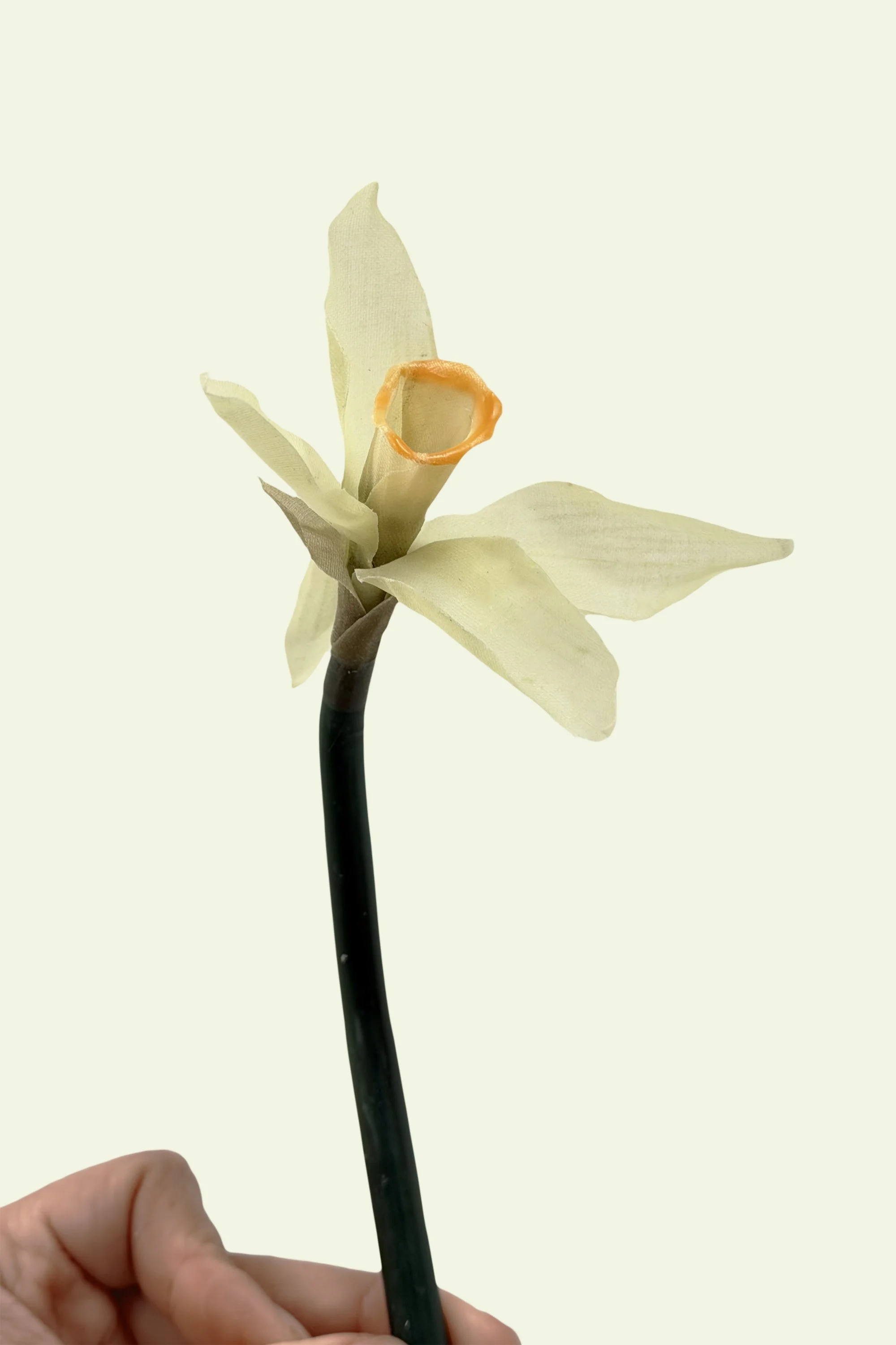Linen-Daffodil.jpg