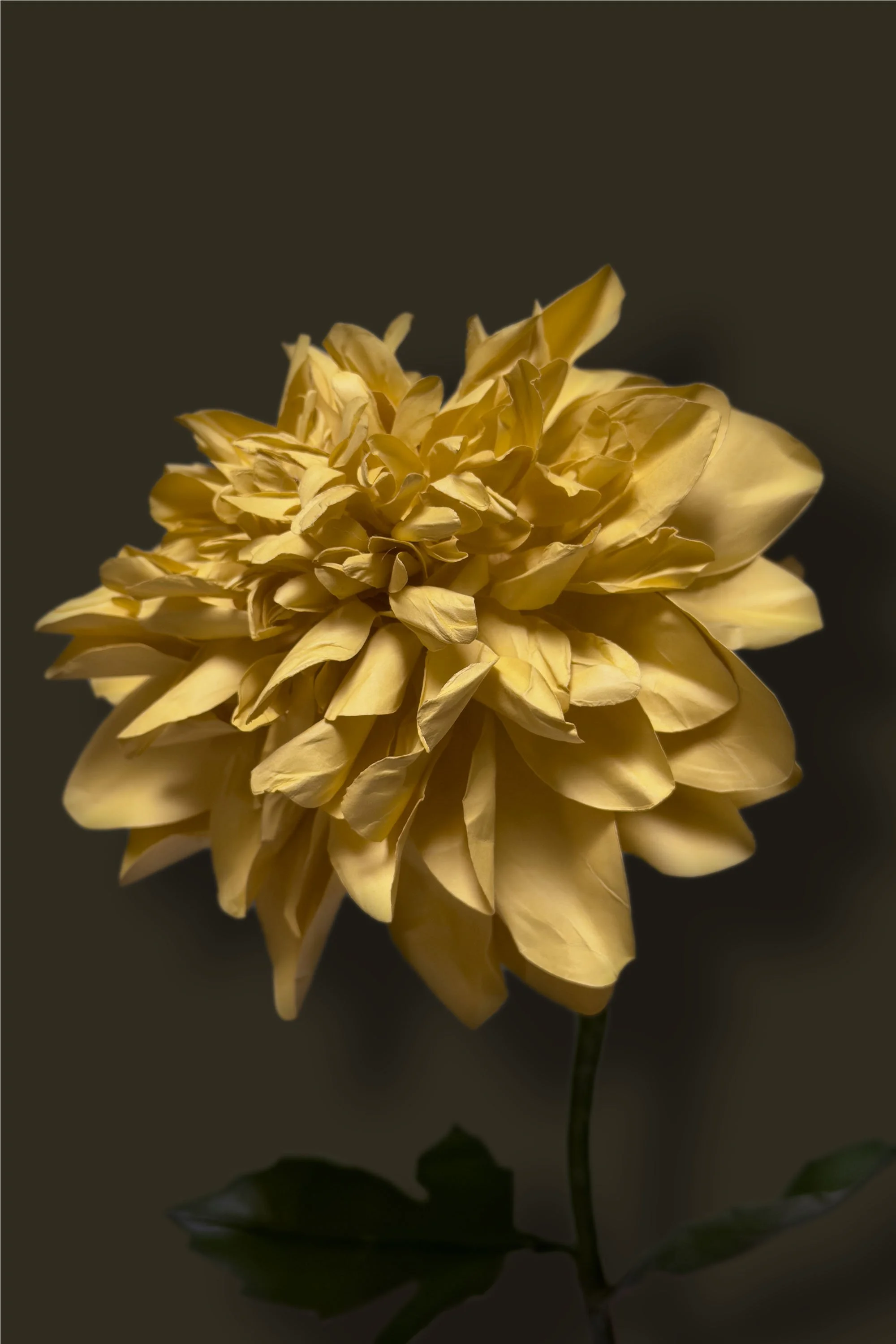Artboard 6.jpg