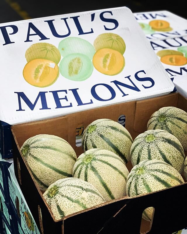 Paul&rsquo;s rockmelons in store today! Best of the best 😍😍 #scalziproduce #adelaidefoodbloggers #adelaideproducemarket #rockmelons