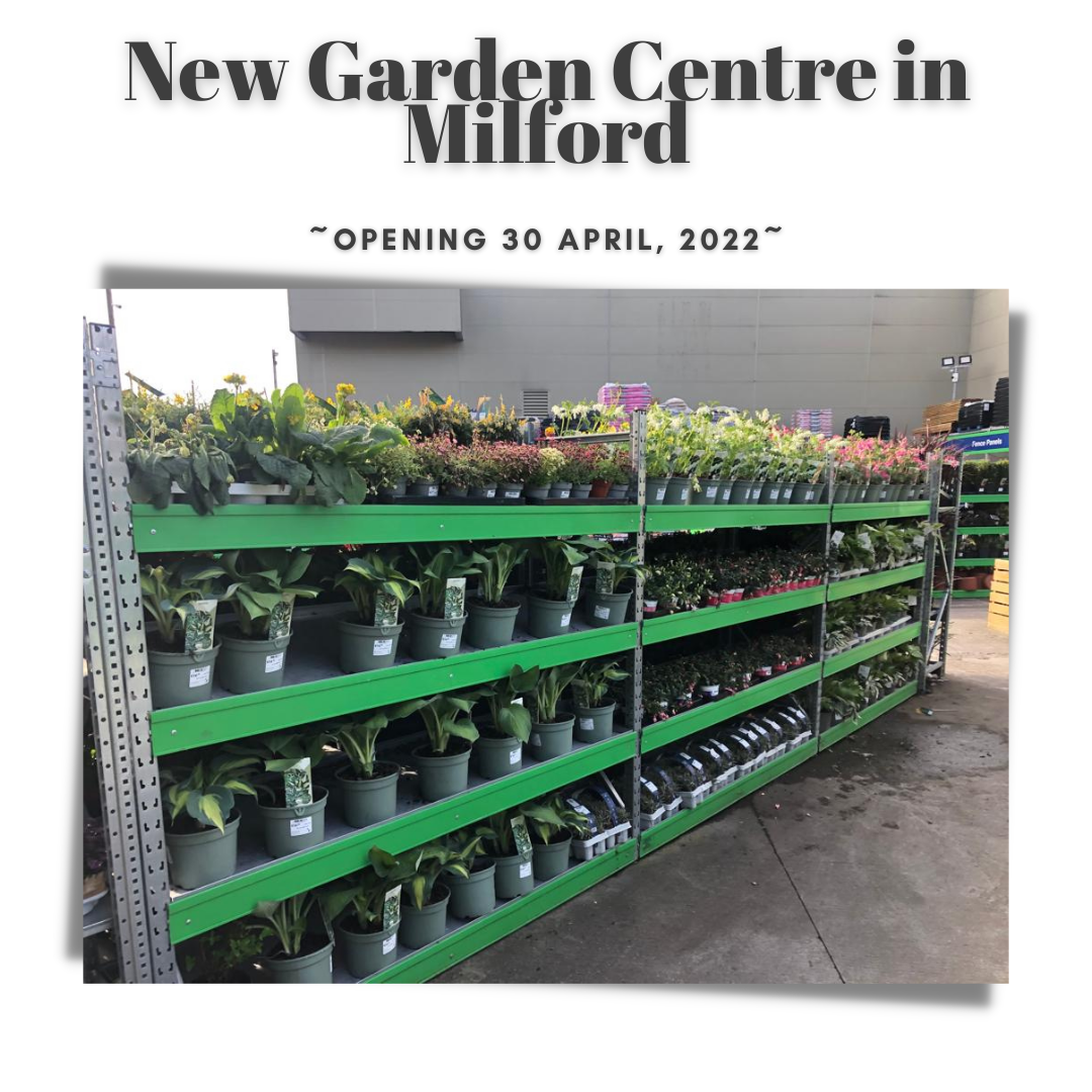 Garden Centre Milford (Donegal) - Opening this weekend! 6 New+Garden+Centres+ +Nenagh+%26+Milford+%285%29