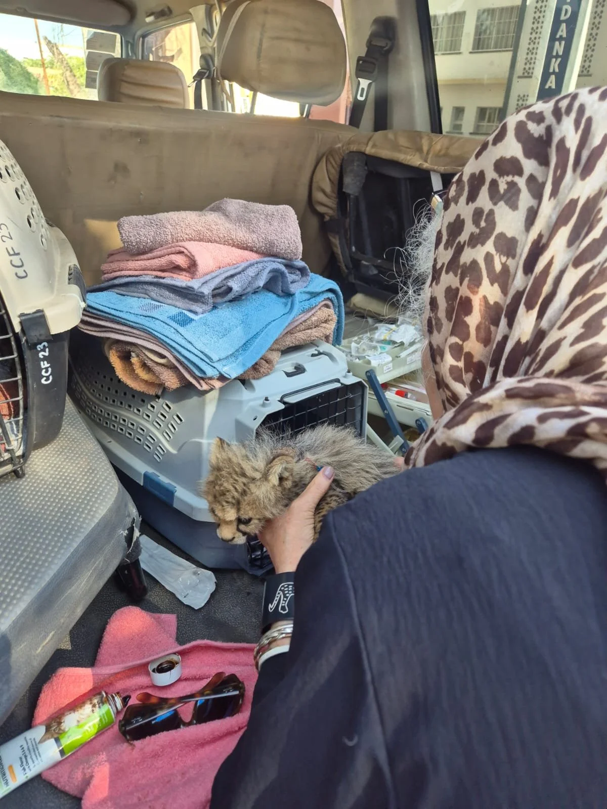 Unterwegs mit Afrikas mutigsten Geparden-Ermittlern 