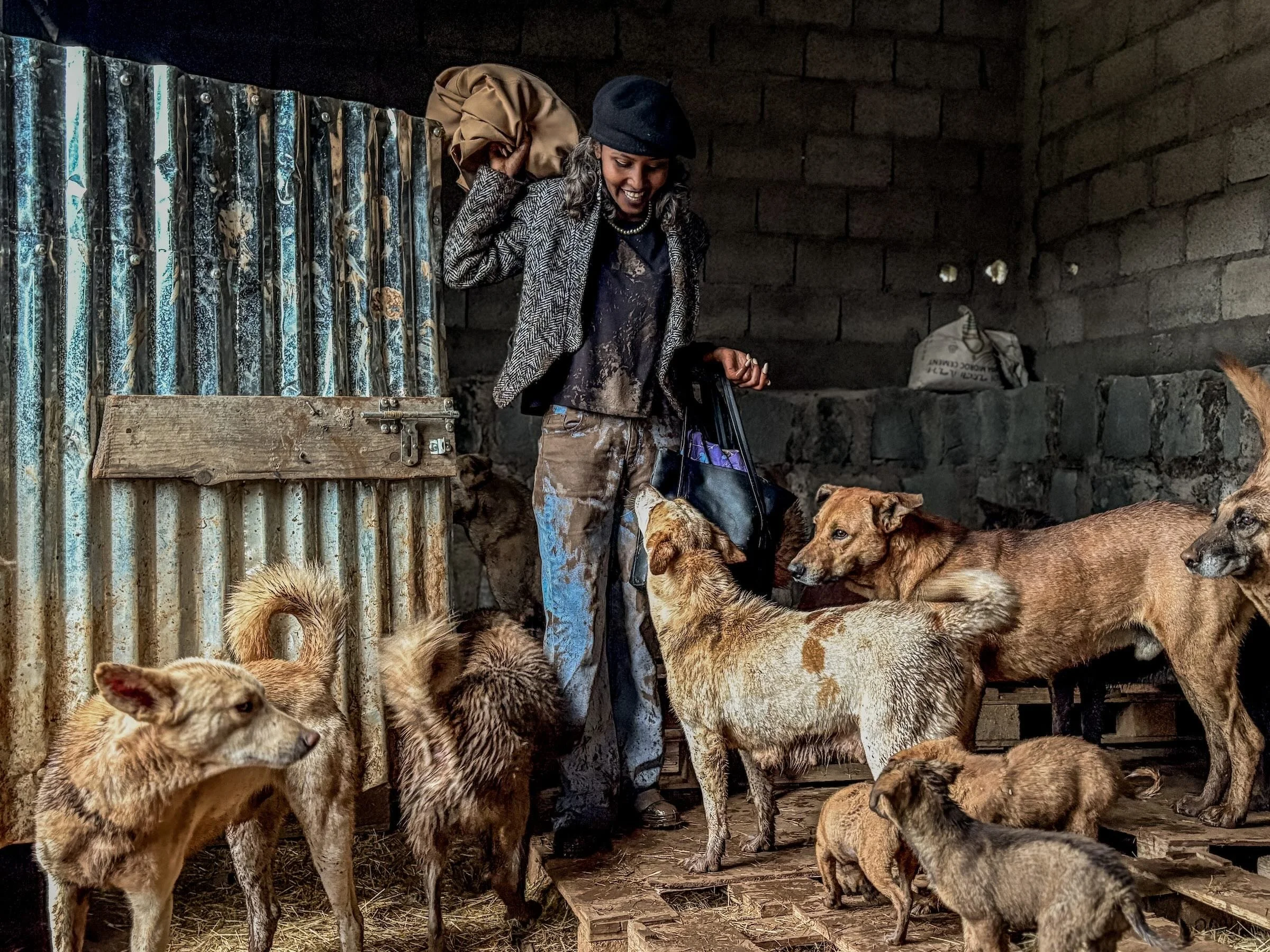 Die Hunde-Retterin von Addis Abeba