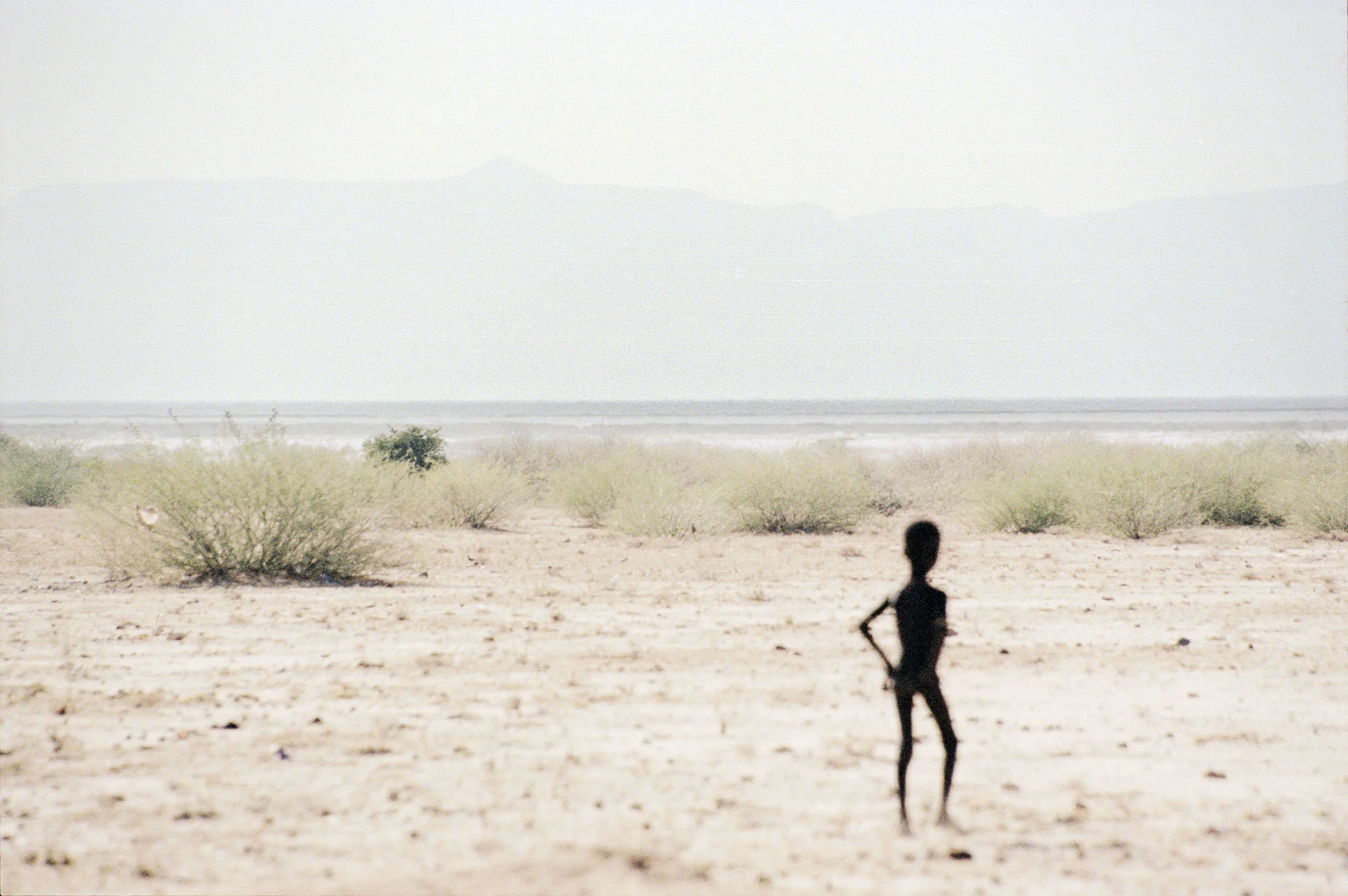 scan0092.jpg