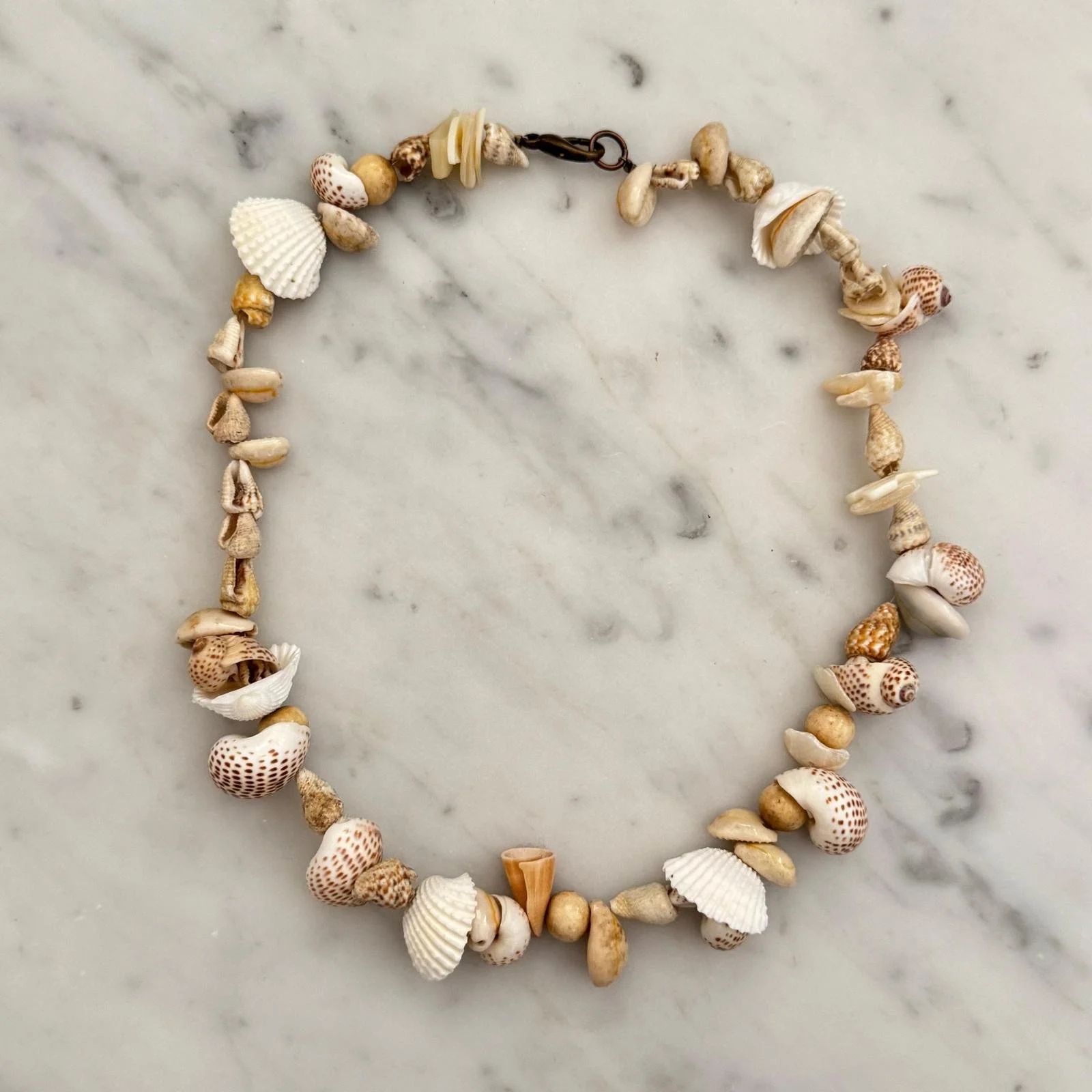 PHOTO-2025-03-17-17-24-16 12.jpg