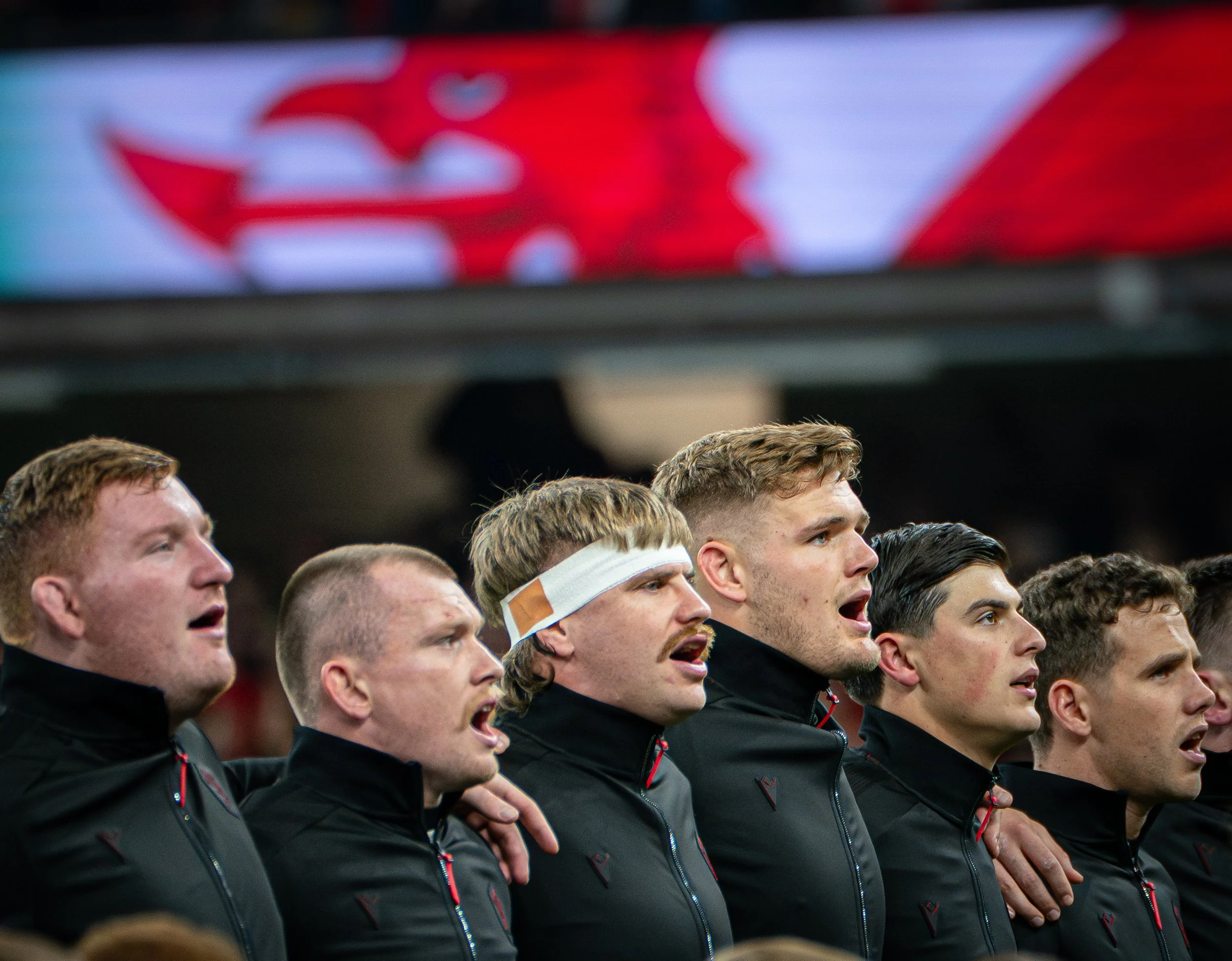 Wales v Japan_151125-8.jpg