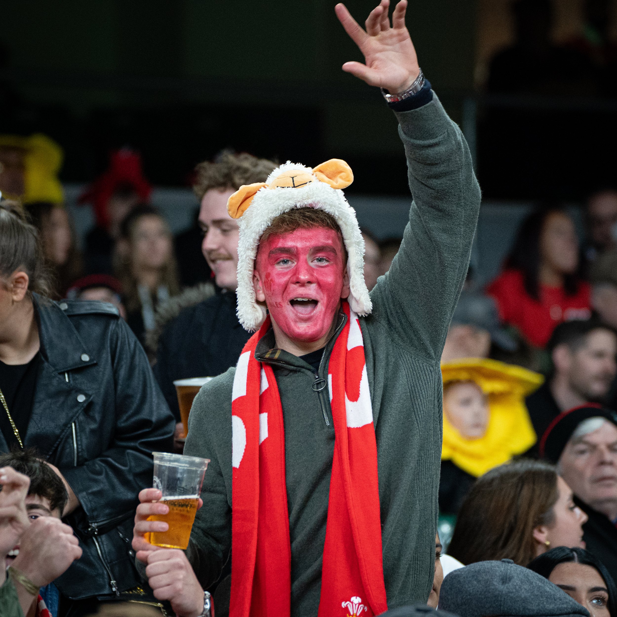 Wales v Japan_151125-10.jpg