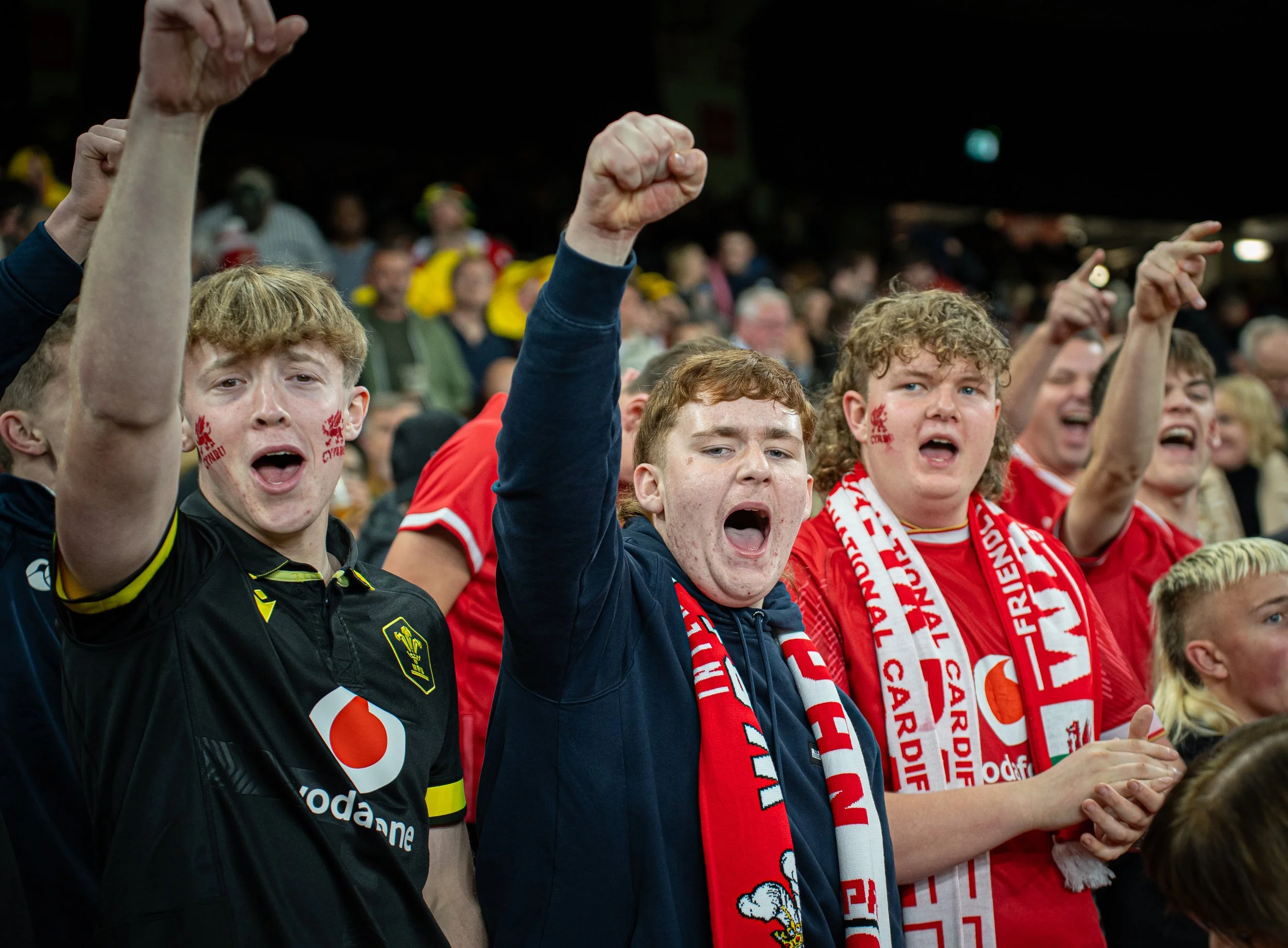 Wales v Japan_151125-12.jpg