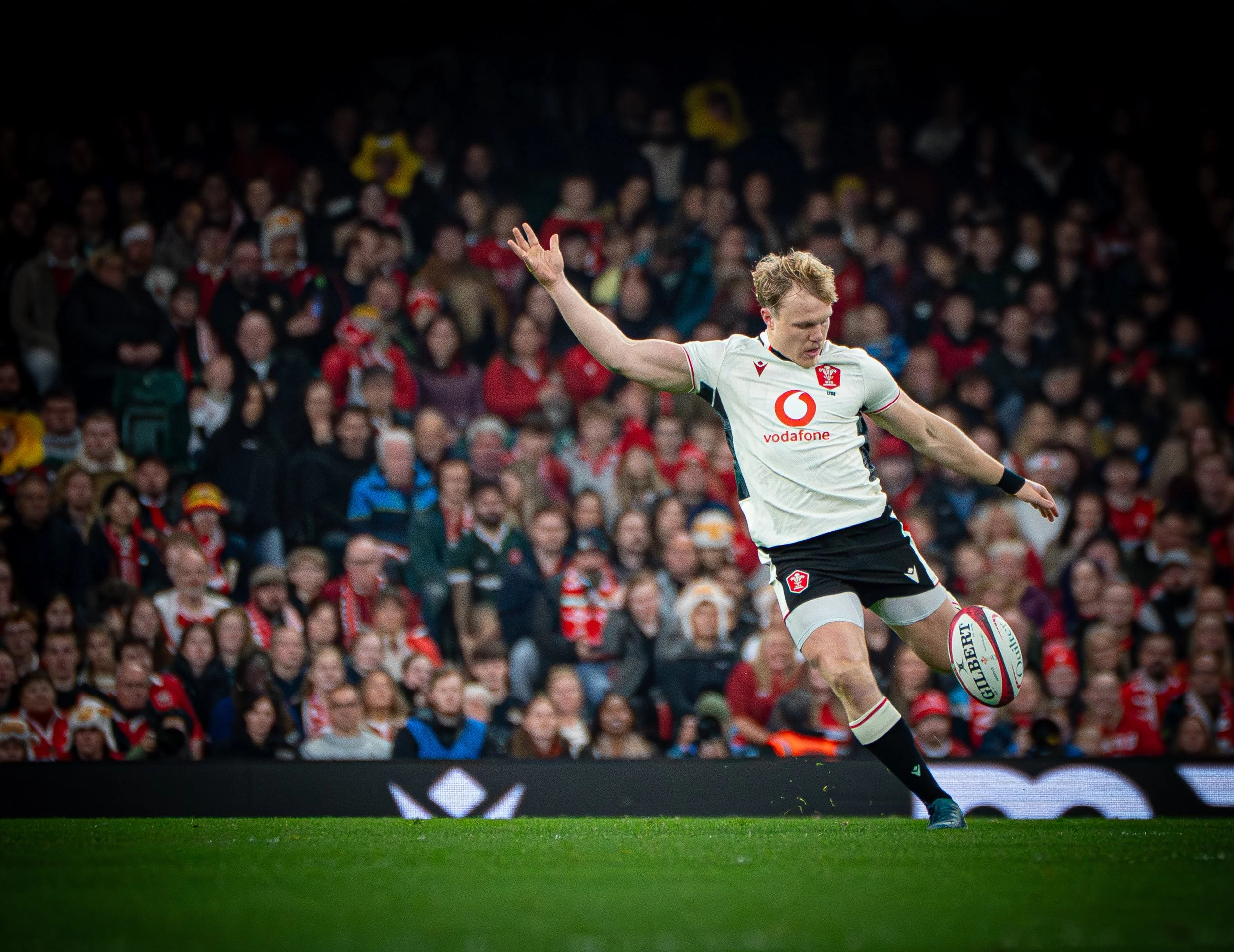 Wales v Japan_151125-14.jpg