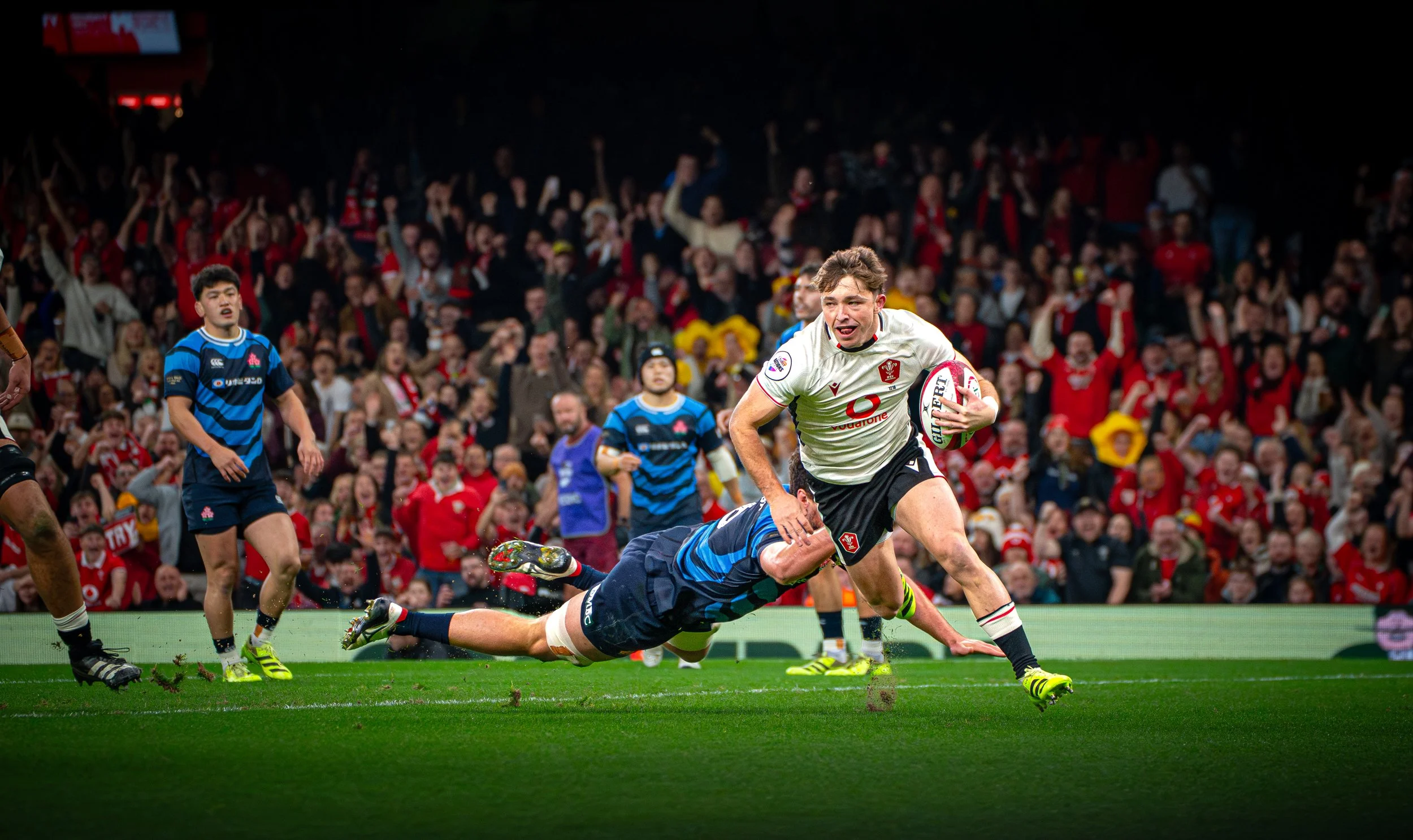 Wales v Japan_151125-20.jpg