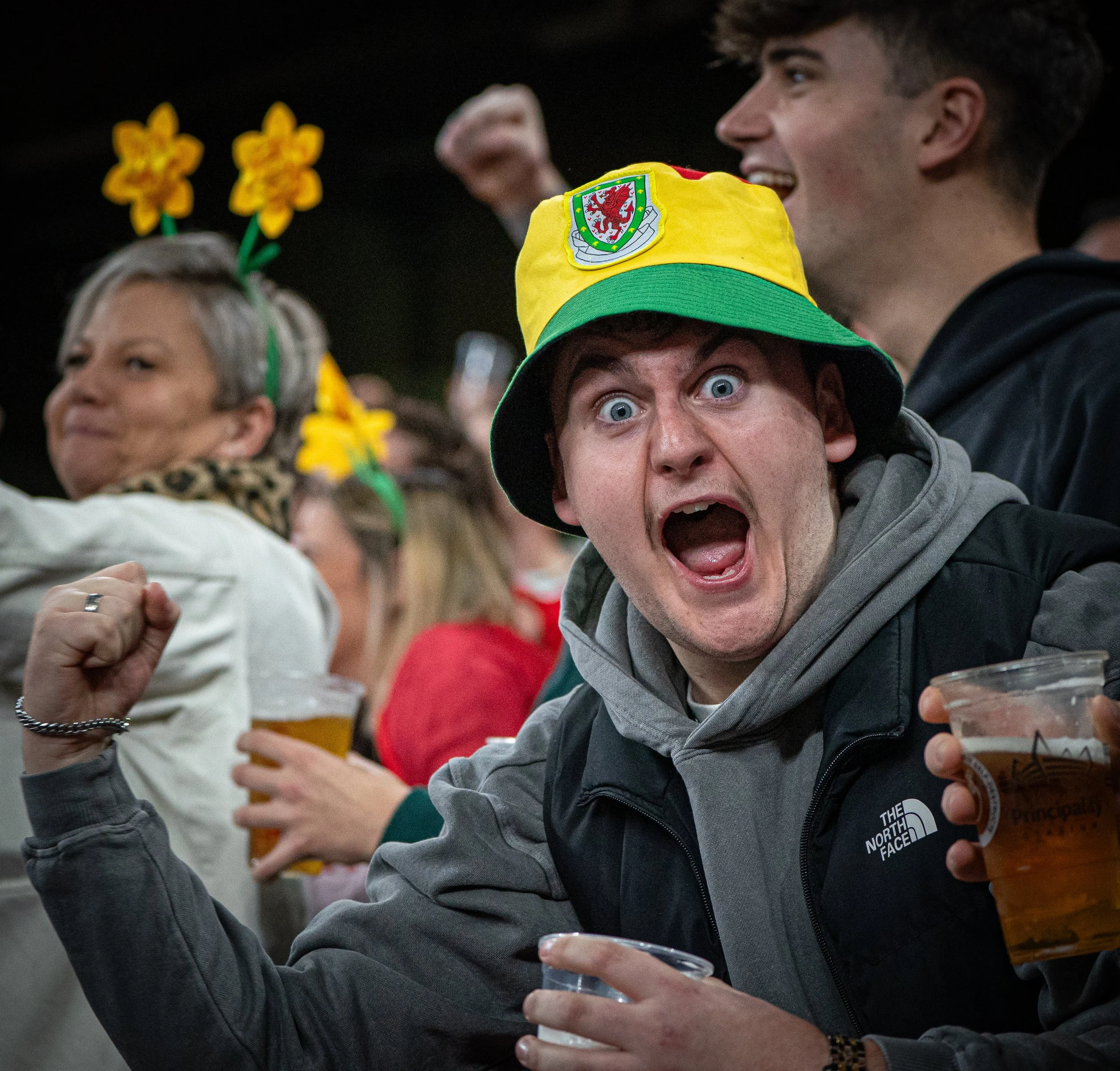 Wales v Japan_151125-21.jpg
