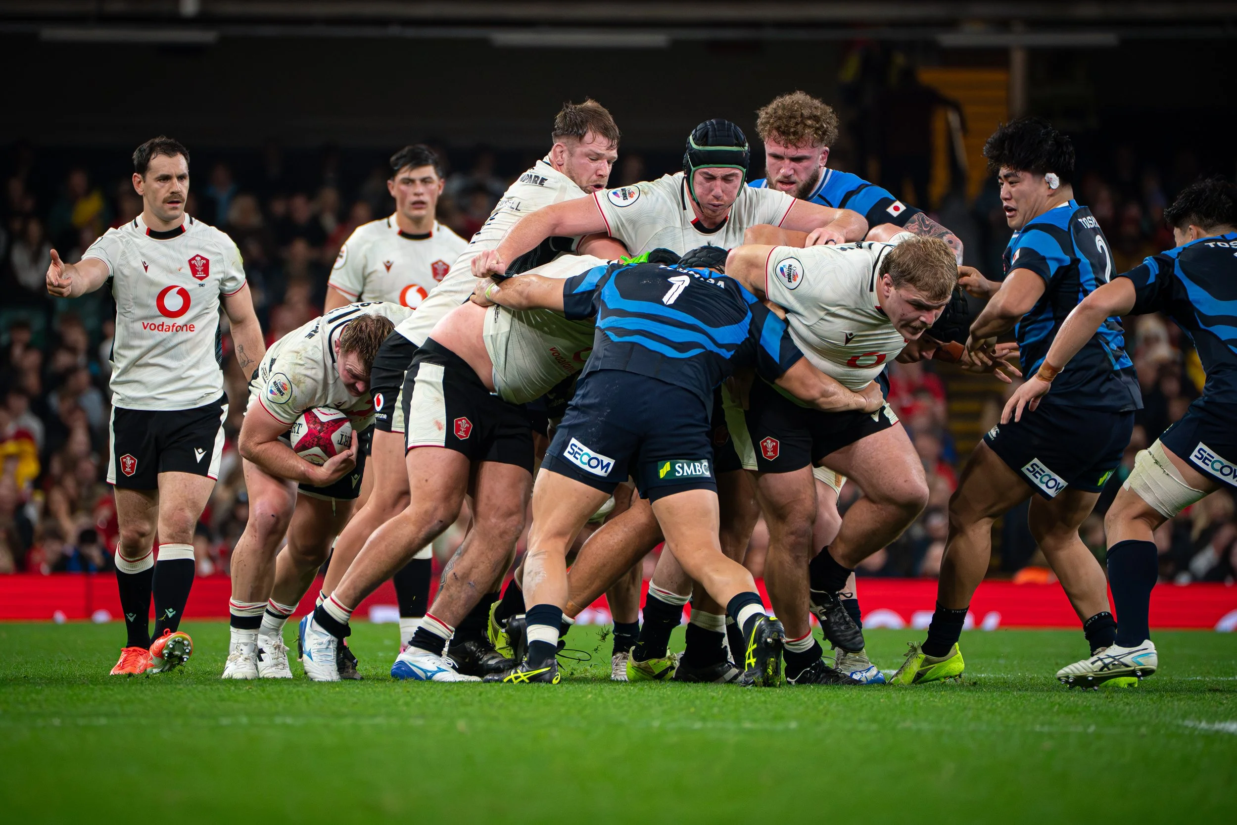 Wales v Japan_151125-29.jpg