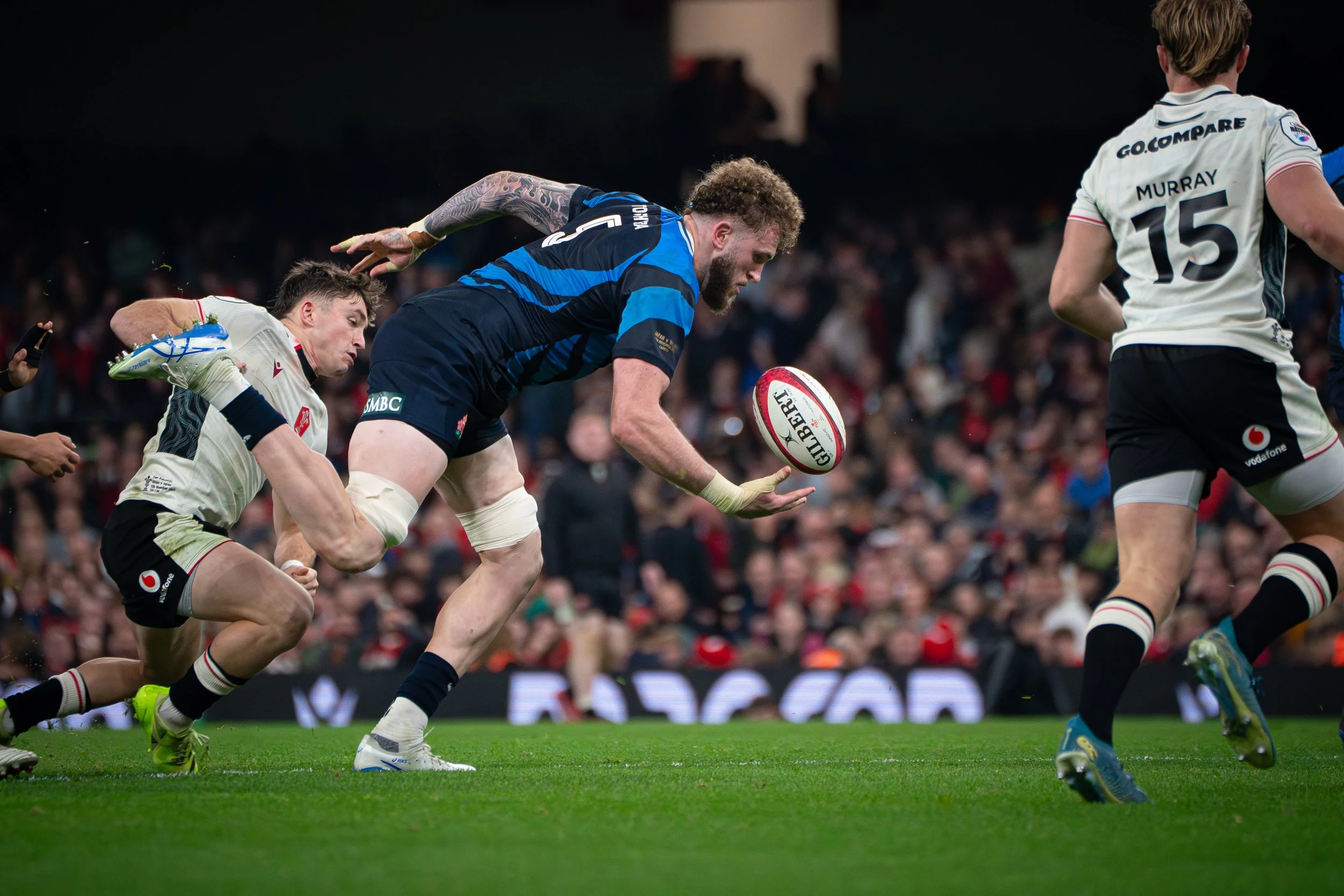 Wales v Japan_151125-39.jpg