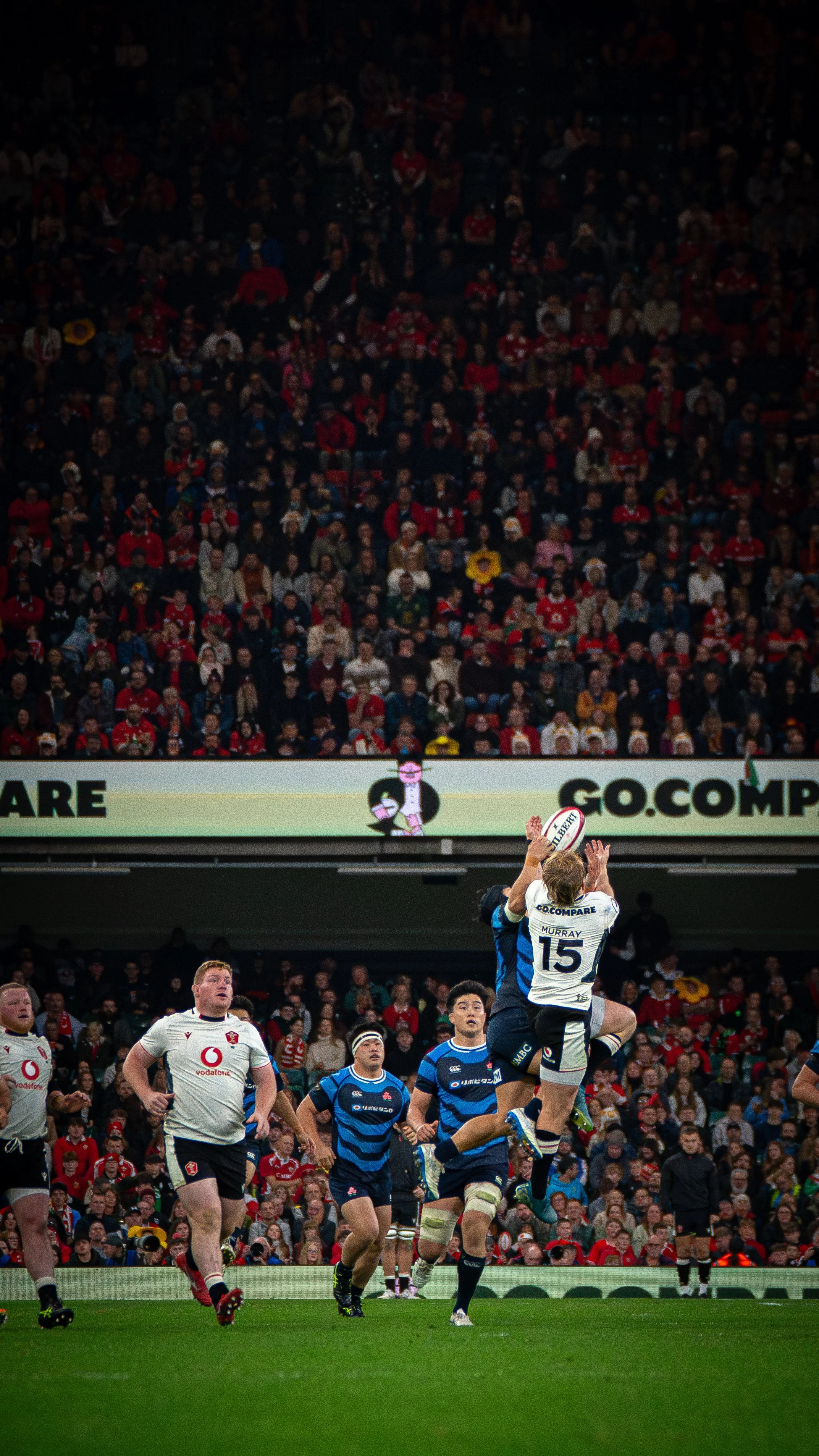 Wales v Japan_151125-42.jpg