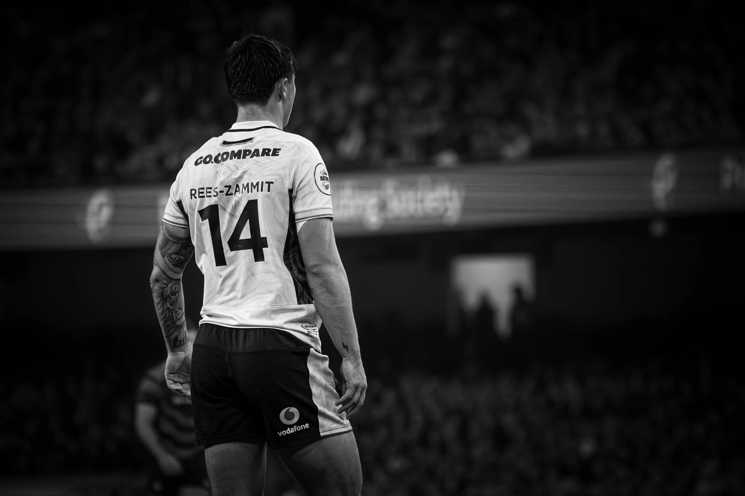 Wales v Japan_151125-47.jpg