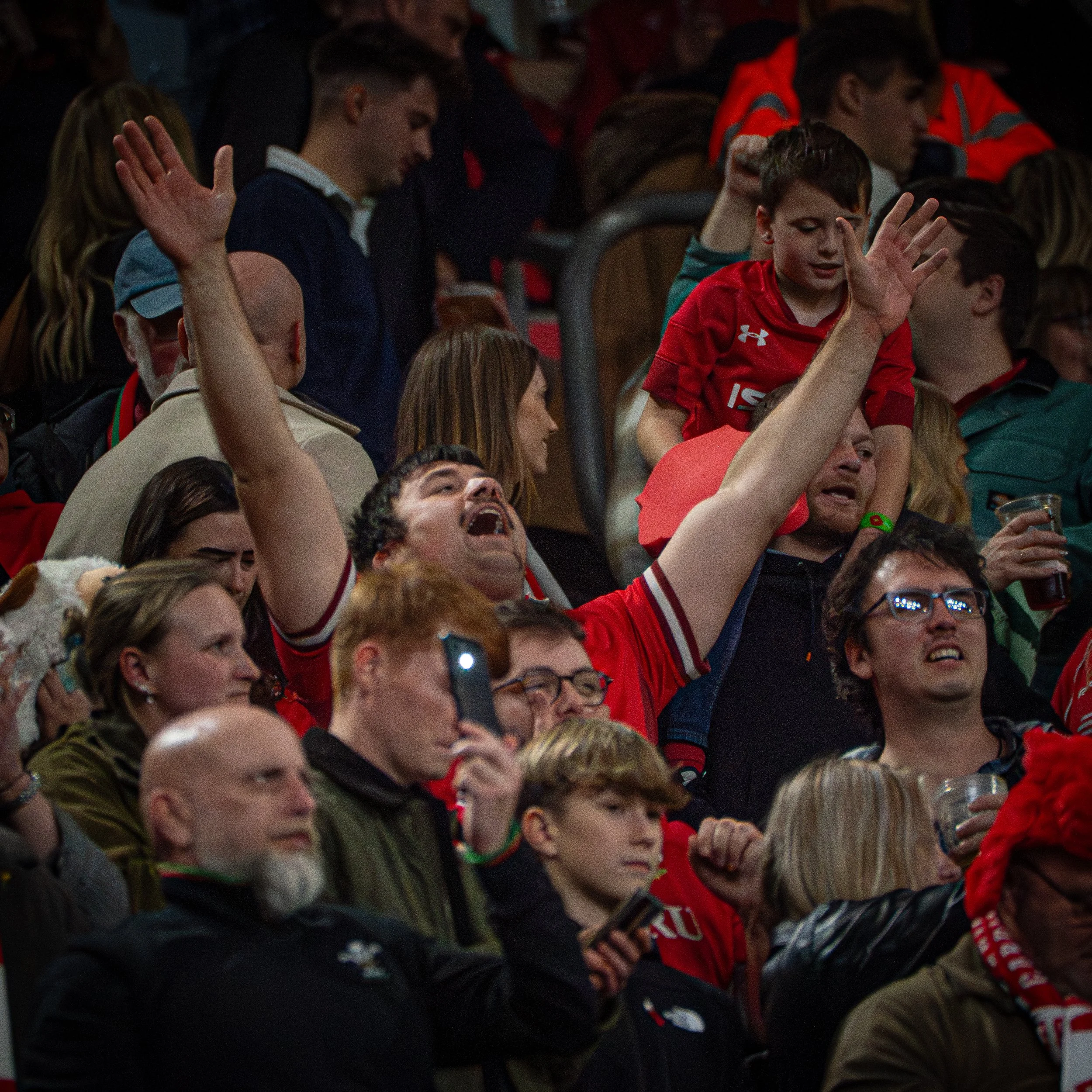 Wales v Japan_151125-115.jpg