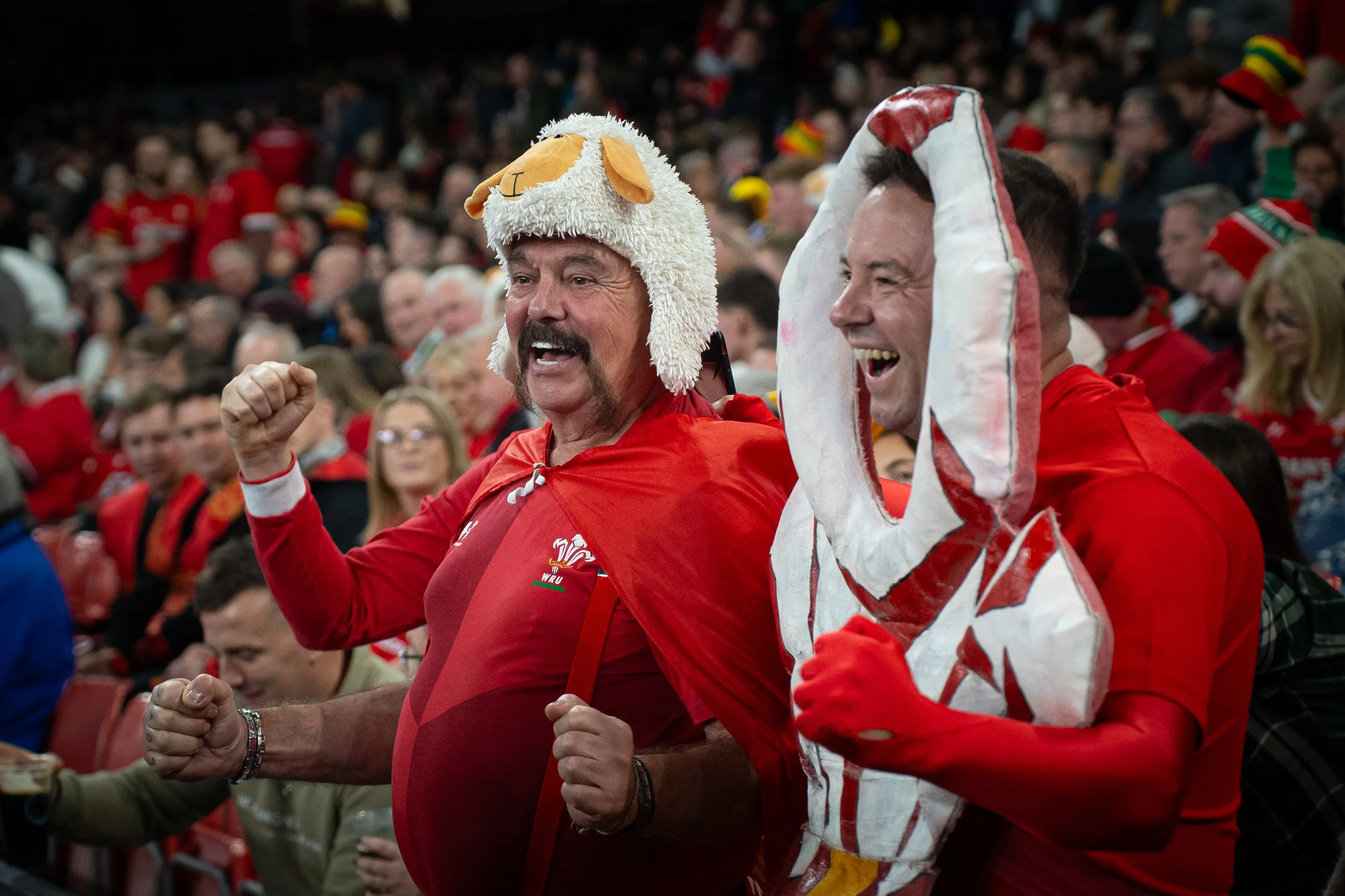 Wales v Japan_151125-119.jpg