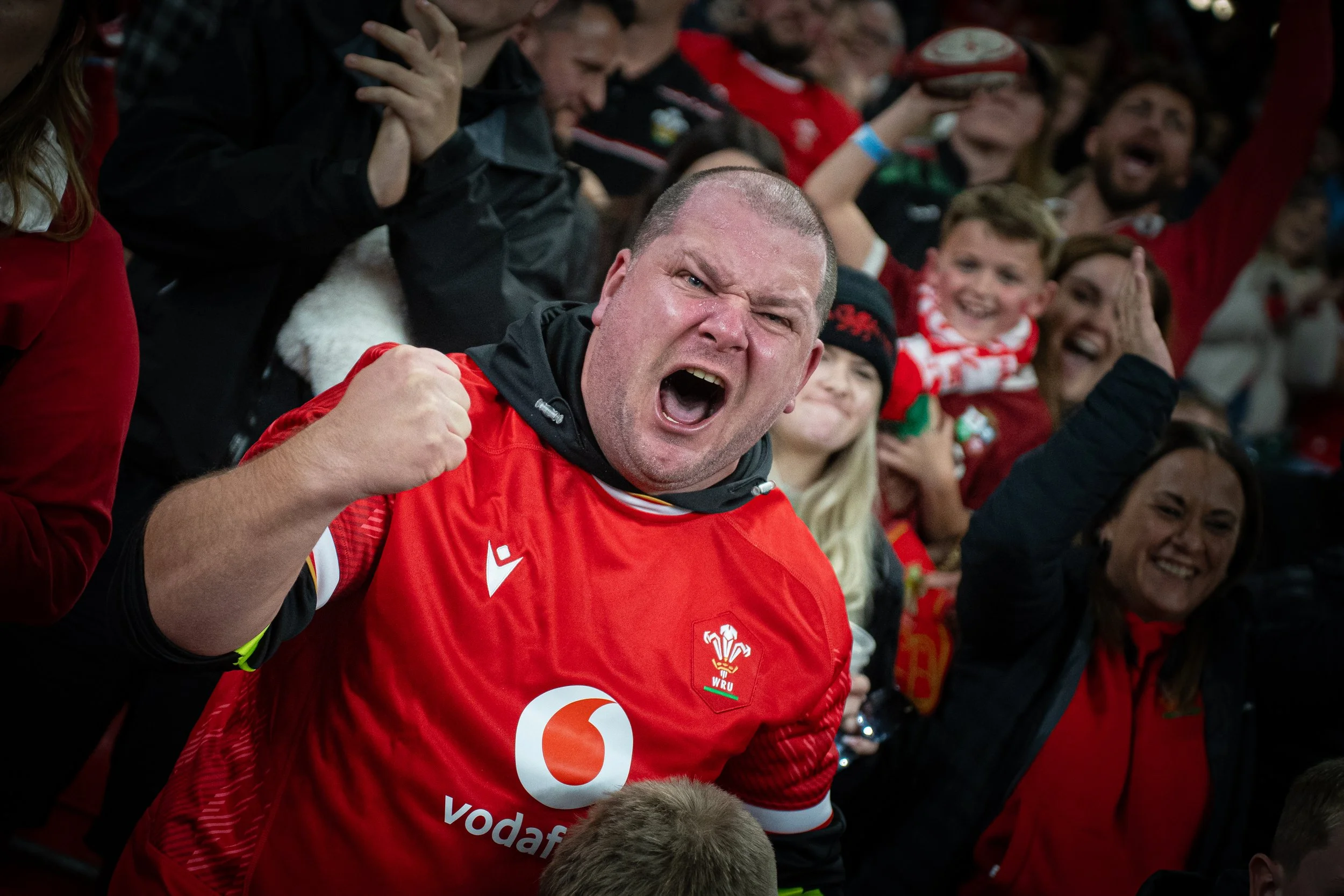 Wales v Japan_151125-127.jpg