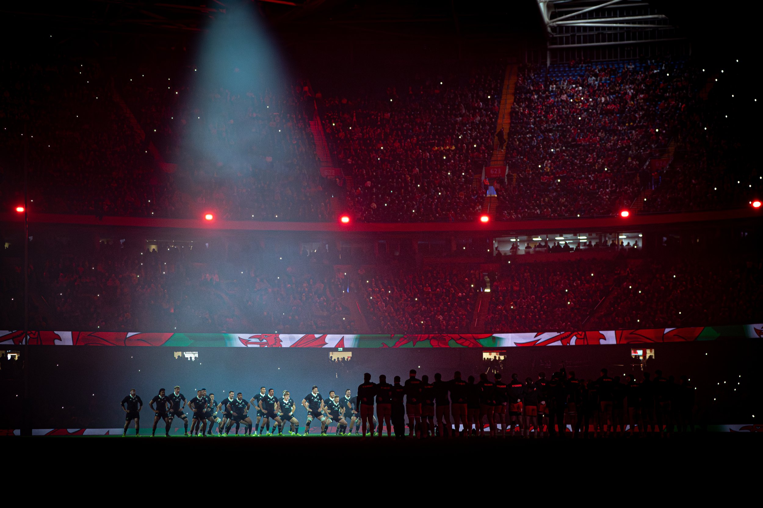 Cymru v New Zealand_221125-45.jpg