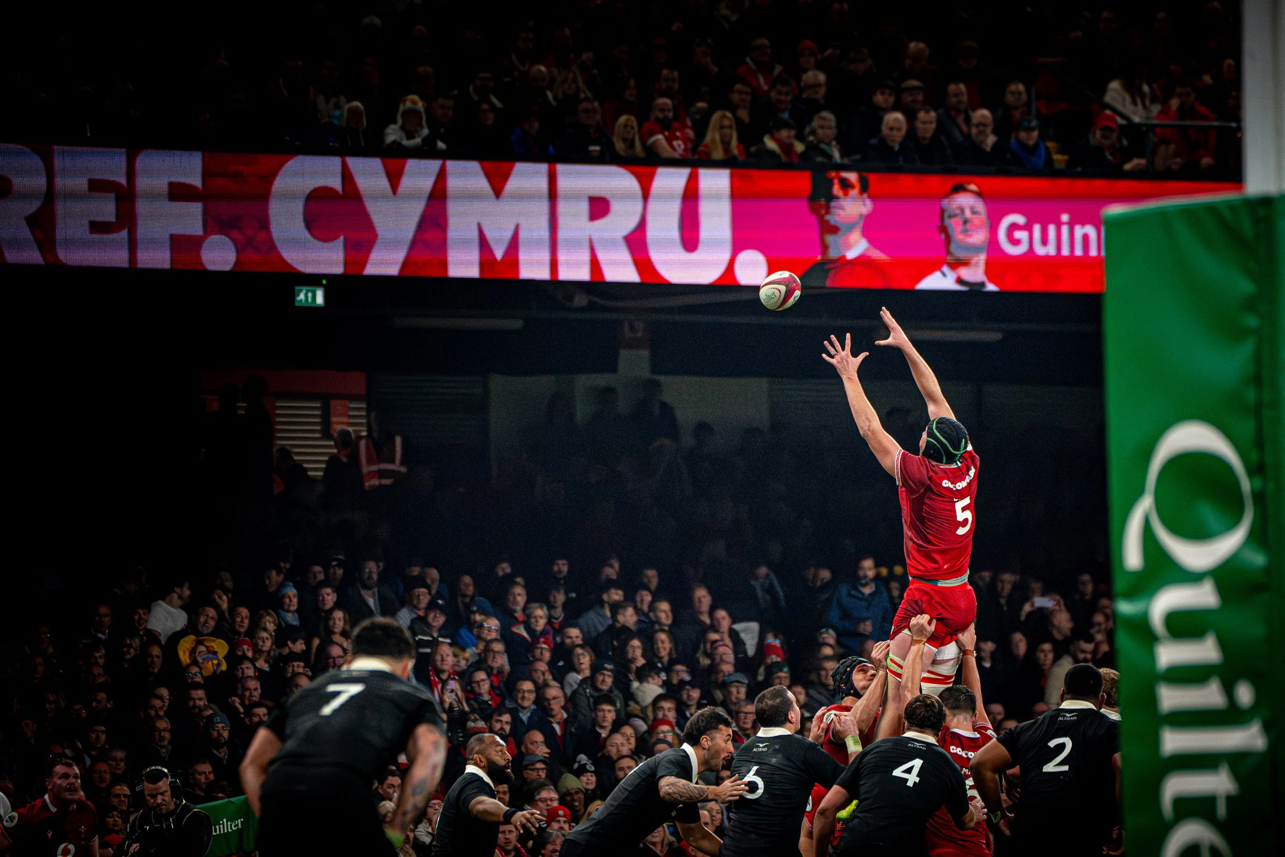 Cymru v New Zealand_221125-81.jpg