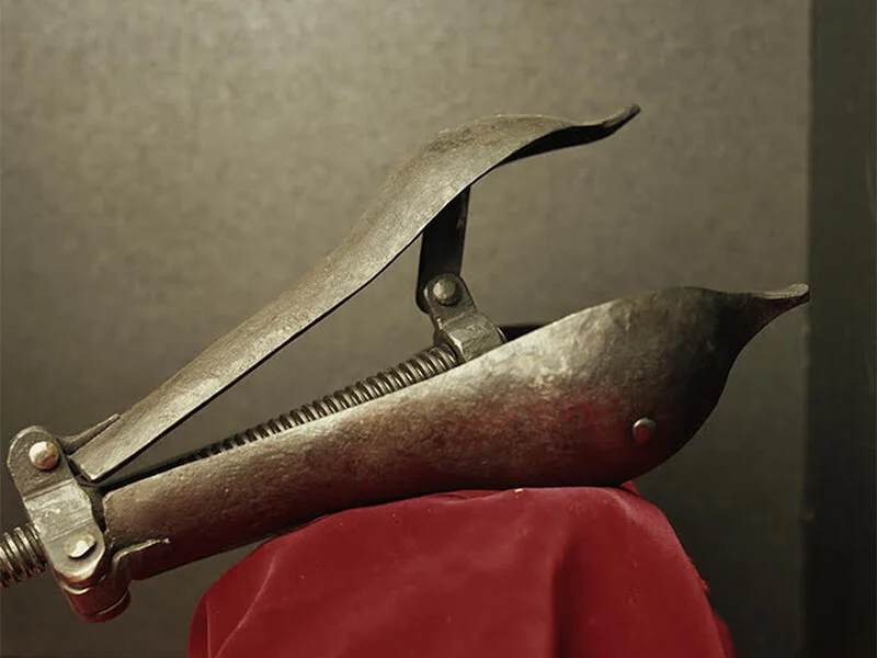 Andres serrano torture.jpg