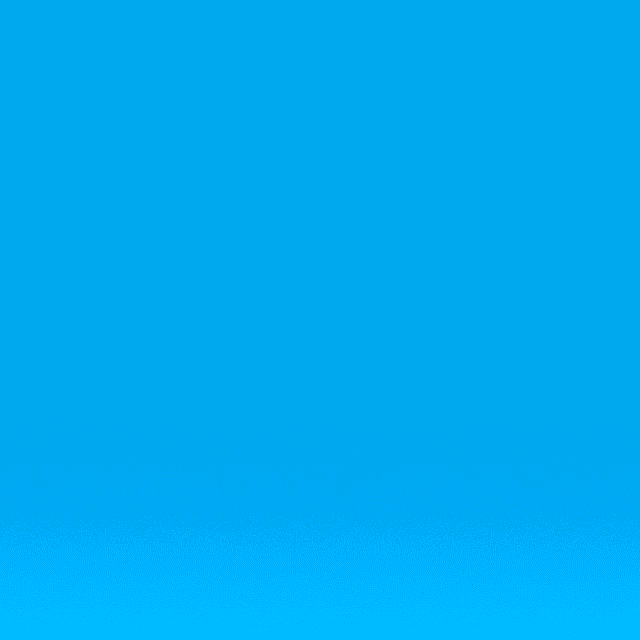 giphy-5.gif