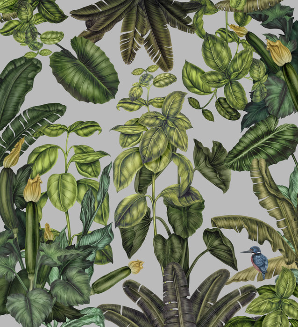 Wallpaper / Zucchini And Leaves