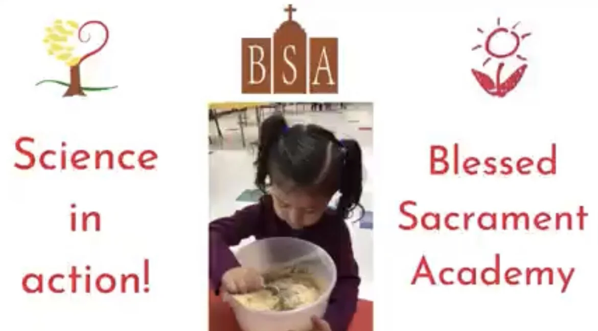 Science in Action at Blessed Sacrament Academy
