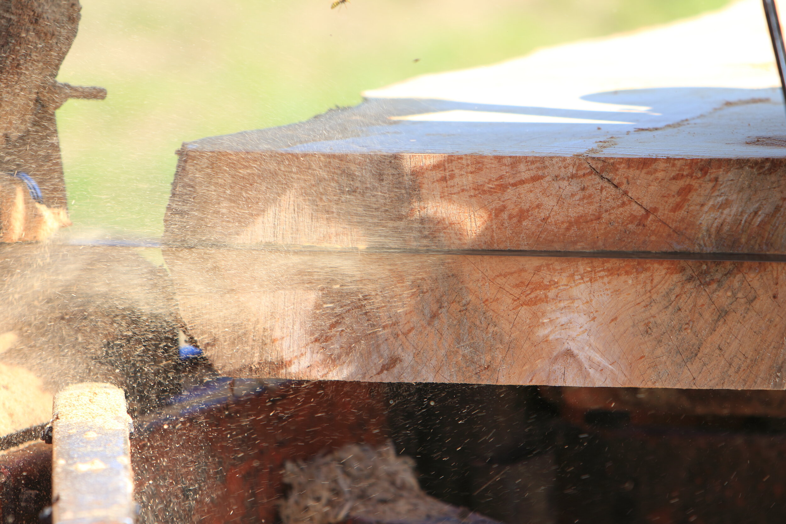 Timber_Milling_007.JPG