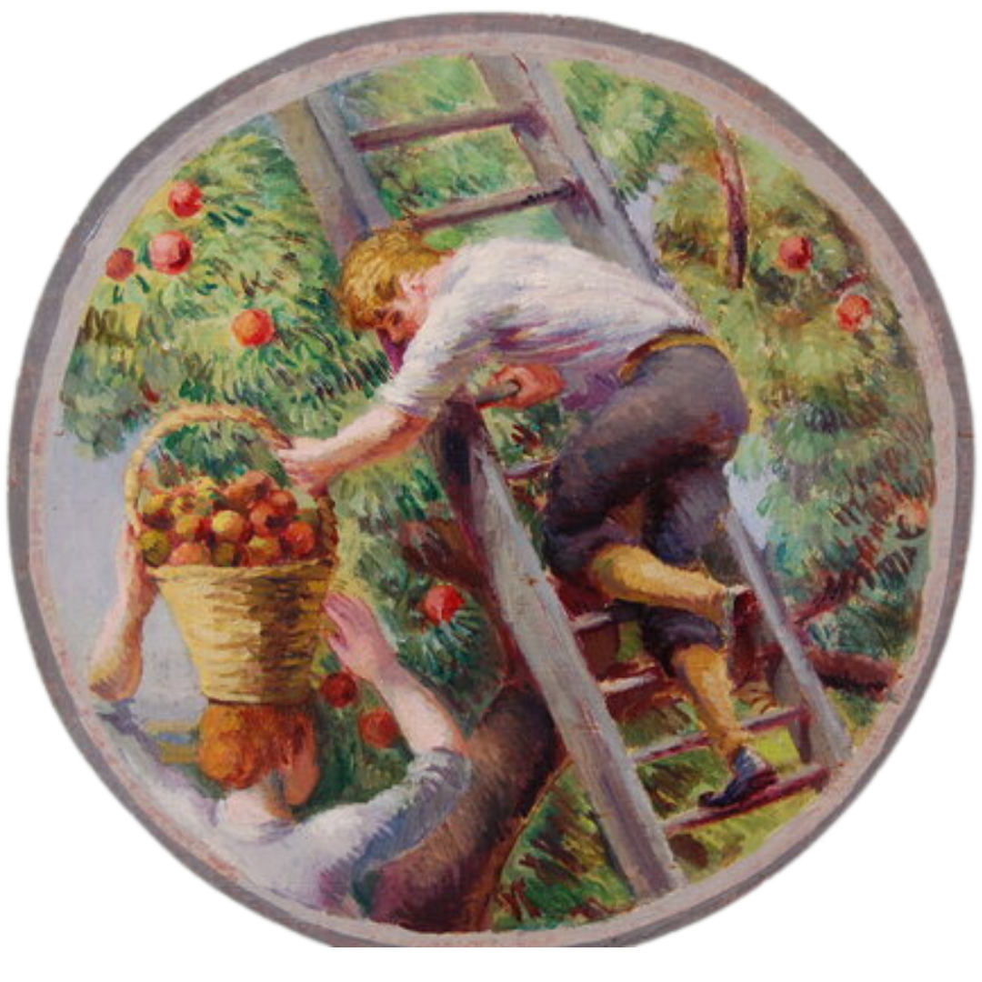 April Tree of the Month: Crab Apple — Dartmoor Tree Surgeons Ltd