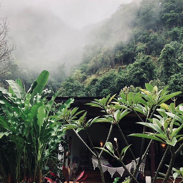My current home in Bali after a pretty dramatic thunder storm.... love the moody steamy jungle mountains #bali #junglelife #newmoonblessings🌑 #aftertherains #tropical #gaia
