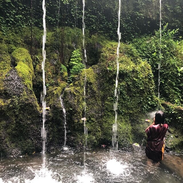 An authentic Balinese Water Temple to receive purification. Each font is said to cleanse one of the 7 deadly sins. At the end  one receives a water blessing from the priest and is reborn anew. Ever in gratitude to the reverent prayer way of the Balin