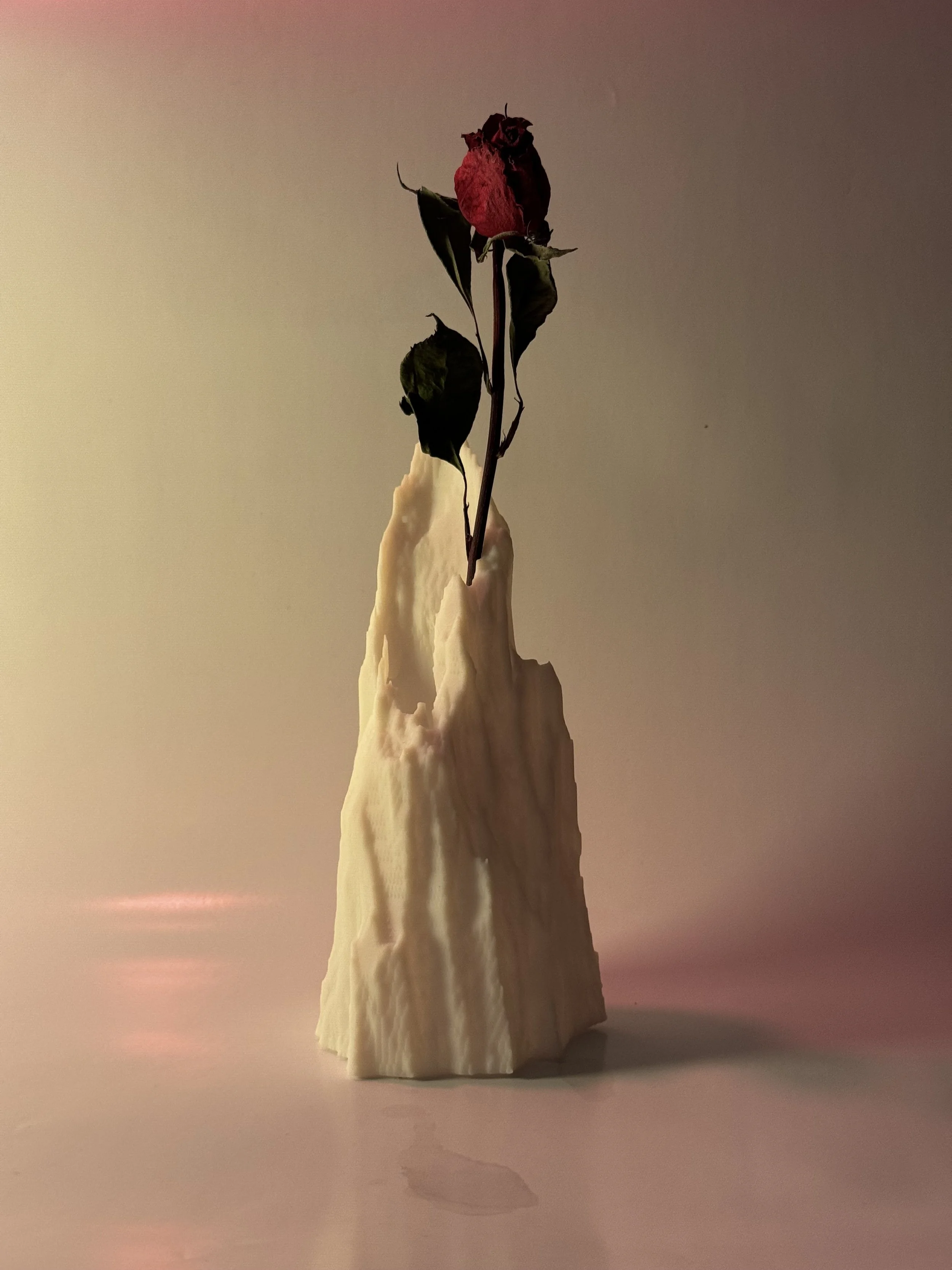 Snow Vase - One Day Build