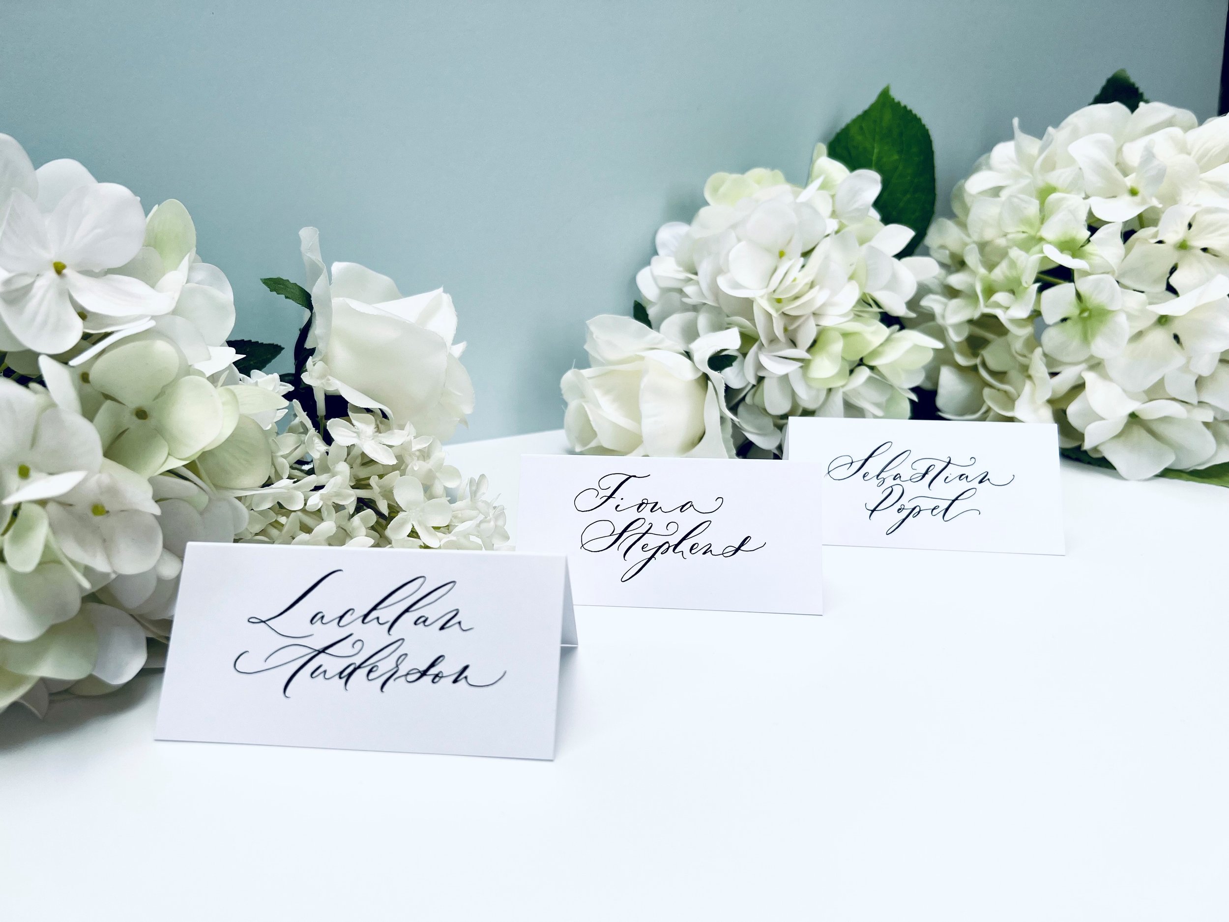 Delfont Ink Romantic style calligraphy place settings.jpg
