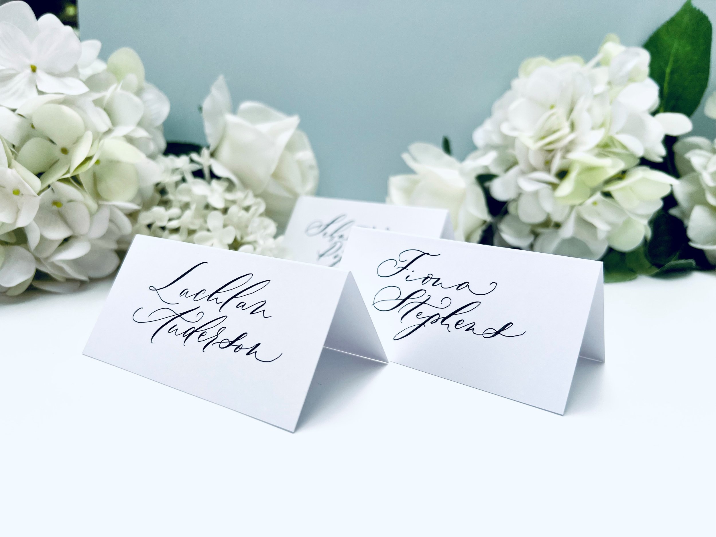 Delfont Ink wedding placecards romantic style calligraphy.jpg
