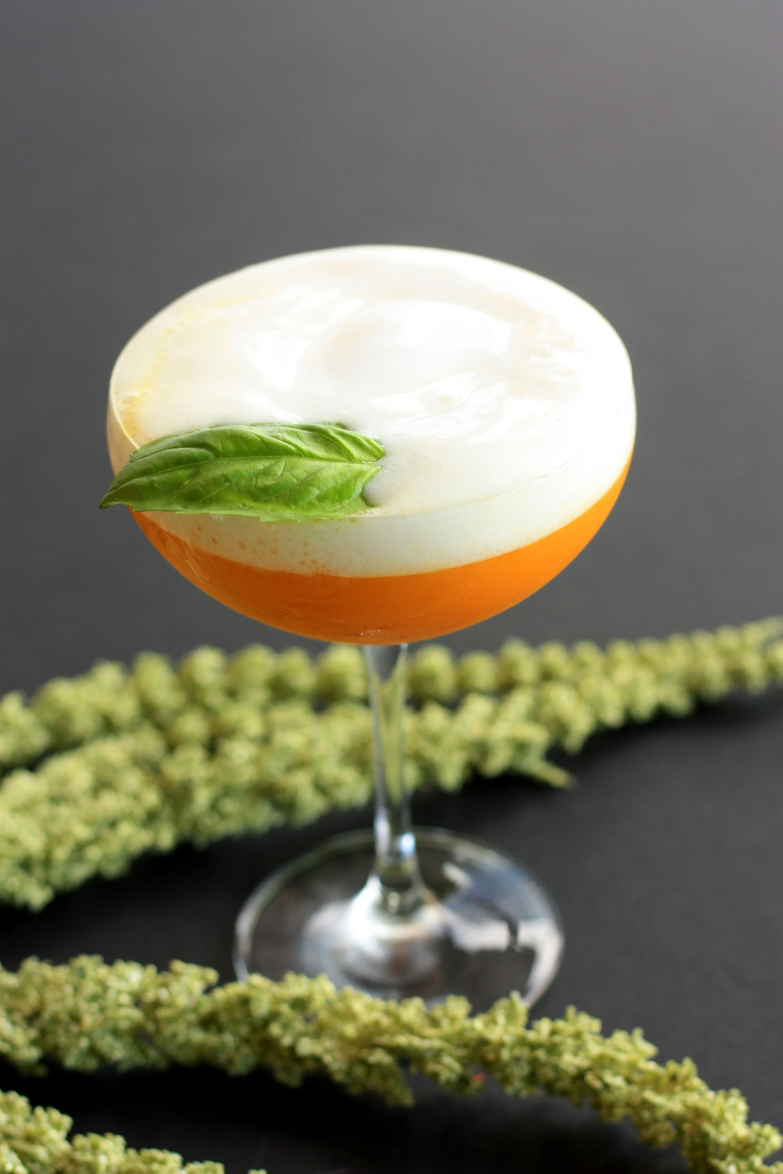 Délice de mangue et yaourt au basilic