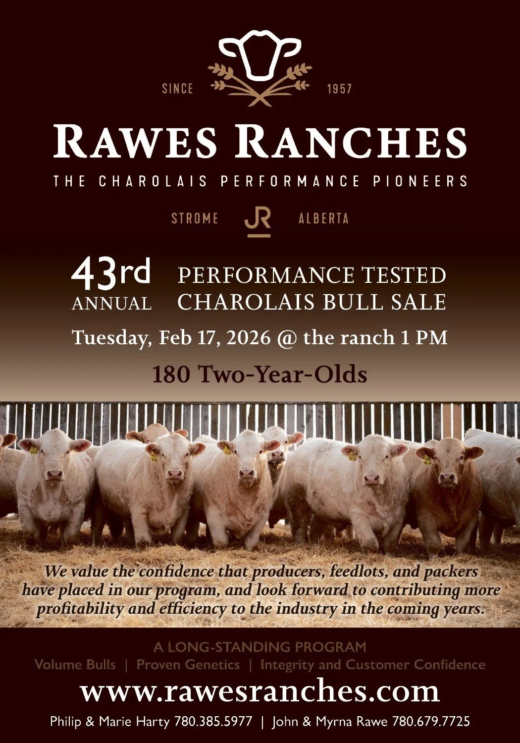 best quality charolais bulls for sale in Alberta Canada