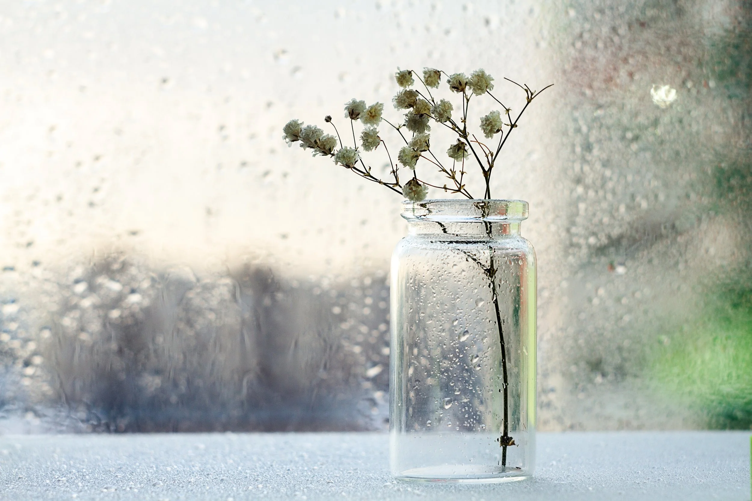 Dealing with damp &amp; condensation