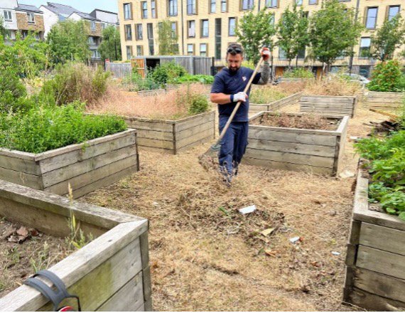 Allotments: Clearing and Availability&nbsp;