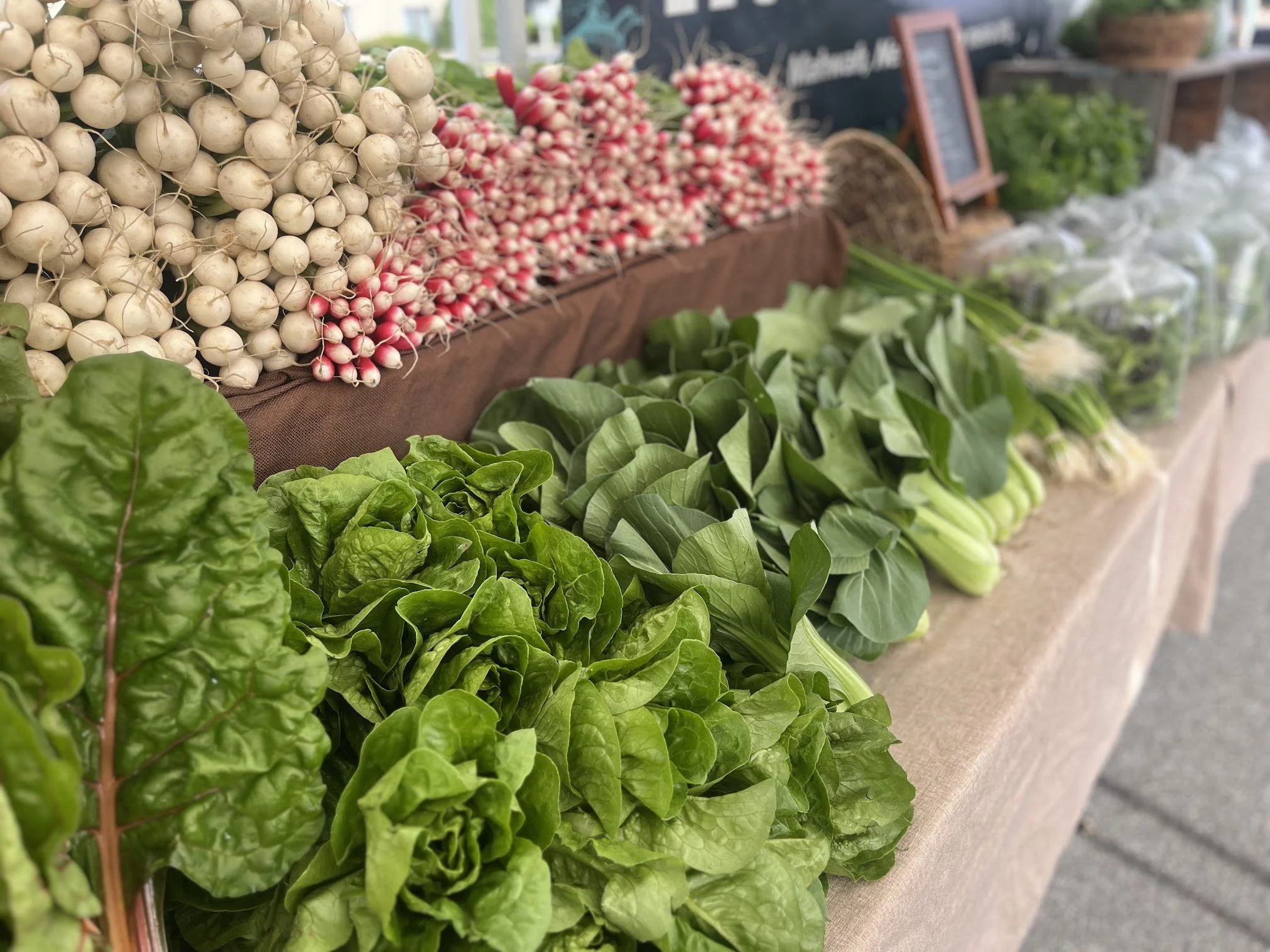 Fresh green lettuce, bok choy, and radishes at a farmer's market stand.