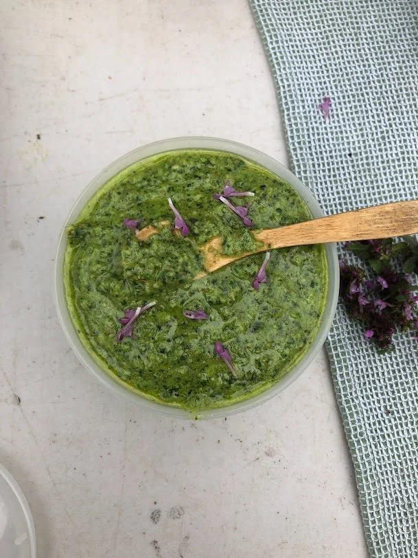 Young Growers Series: Farm to Table Salsa and Pesto