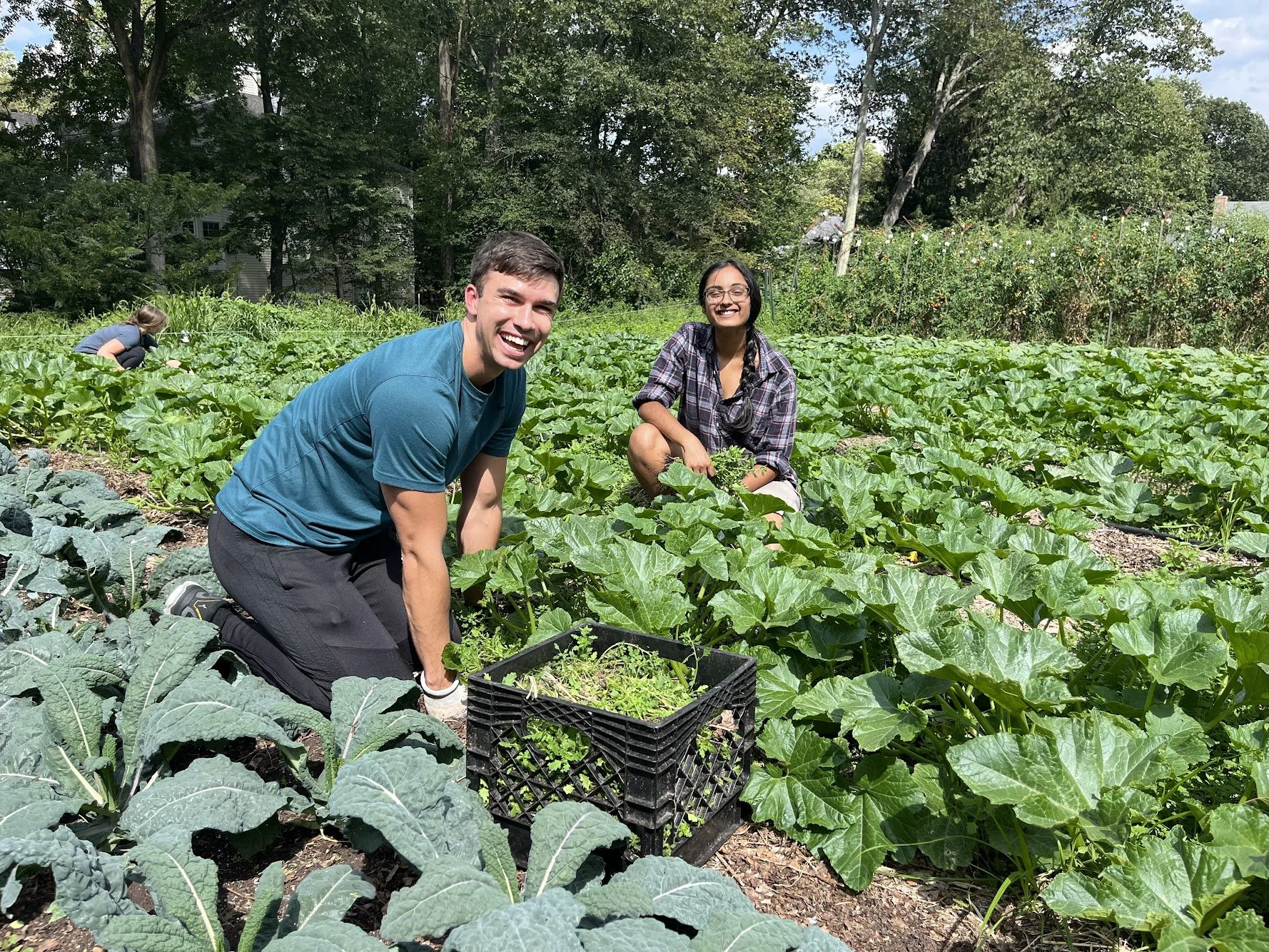 05/10/26 Sunday Farm Volunteer Day